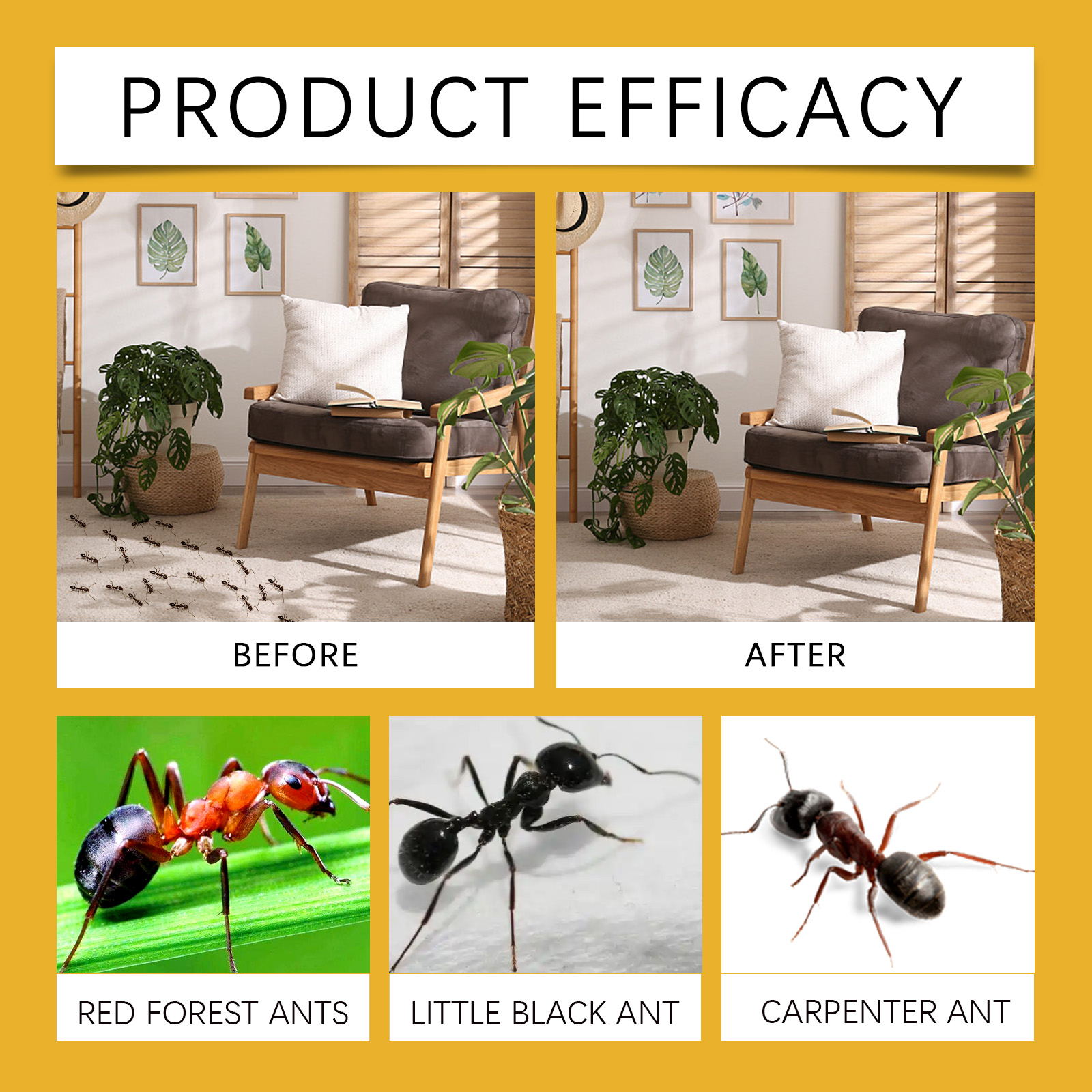 Liquid Ant Bait Separate Sachets Gather Trap Easy Storage Lure Foraging Ants Centralized Clean Capture