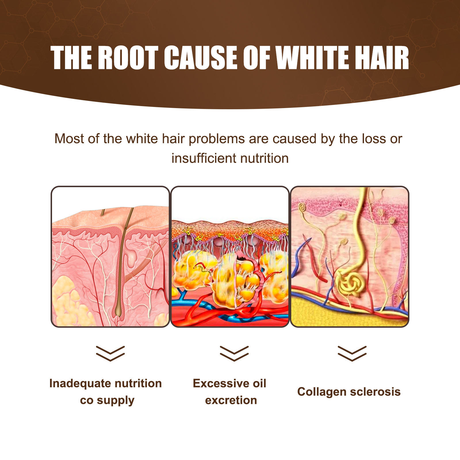 Anti White Hair Essence Nourishing Essential Oil with Natural Extract Hair Scalp Massage Essence for Repairing Moisturising Thicker Healthier Hair