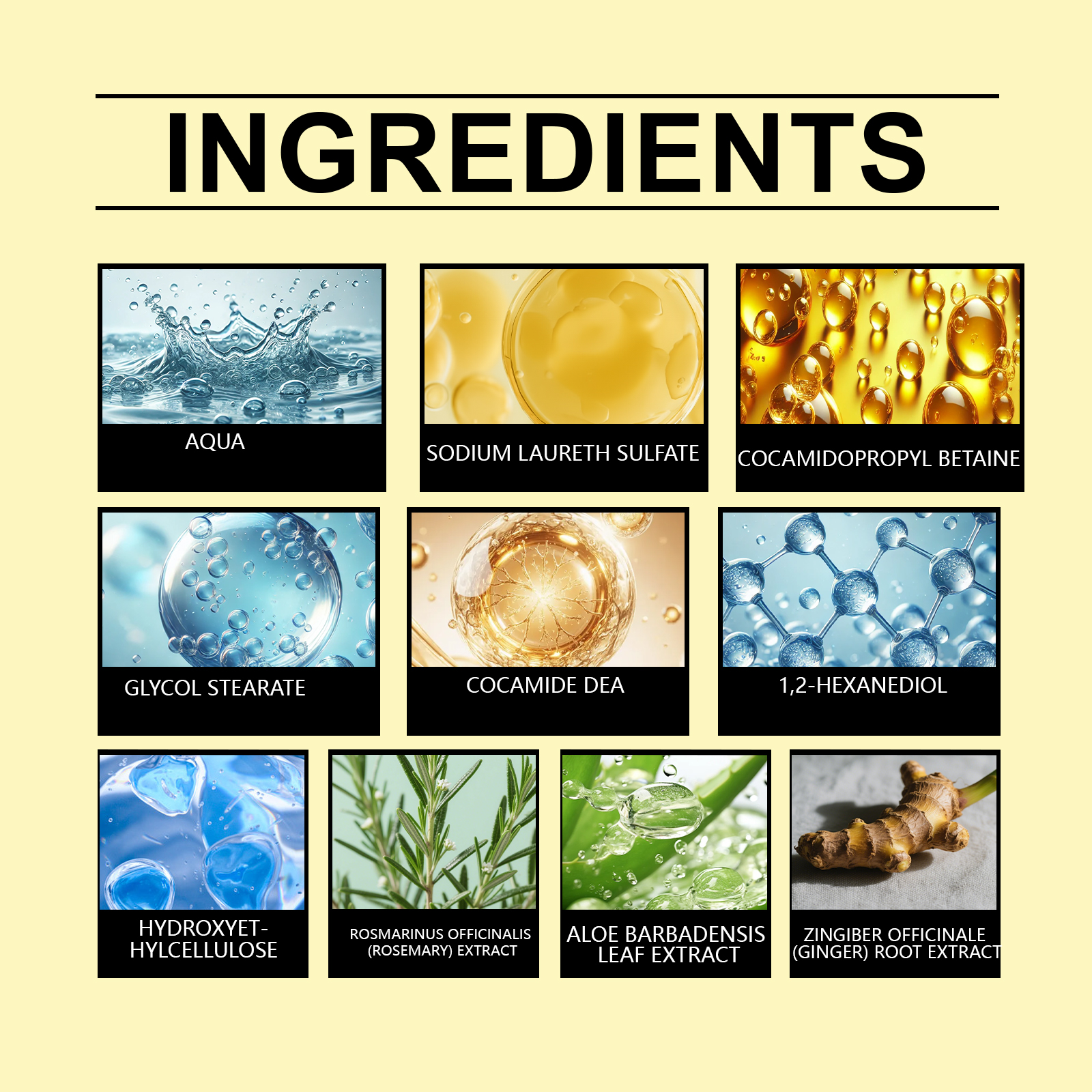Nourishing Hair Shampoo Plant Essence Formula Mild Clean Scalp Moisturize Smooth Shiny Hair