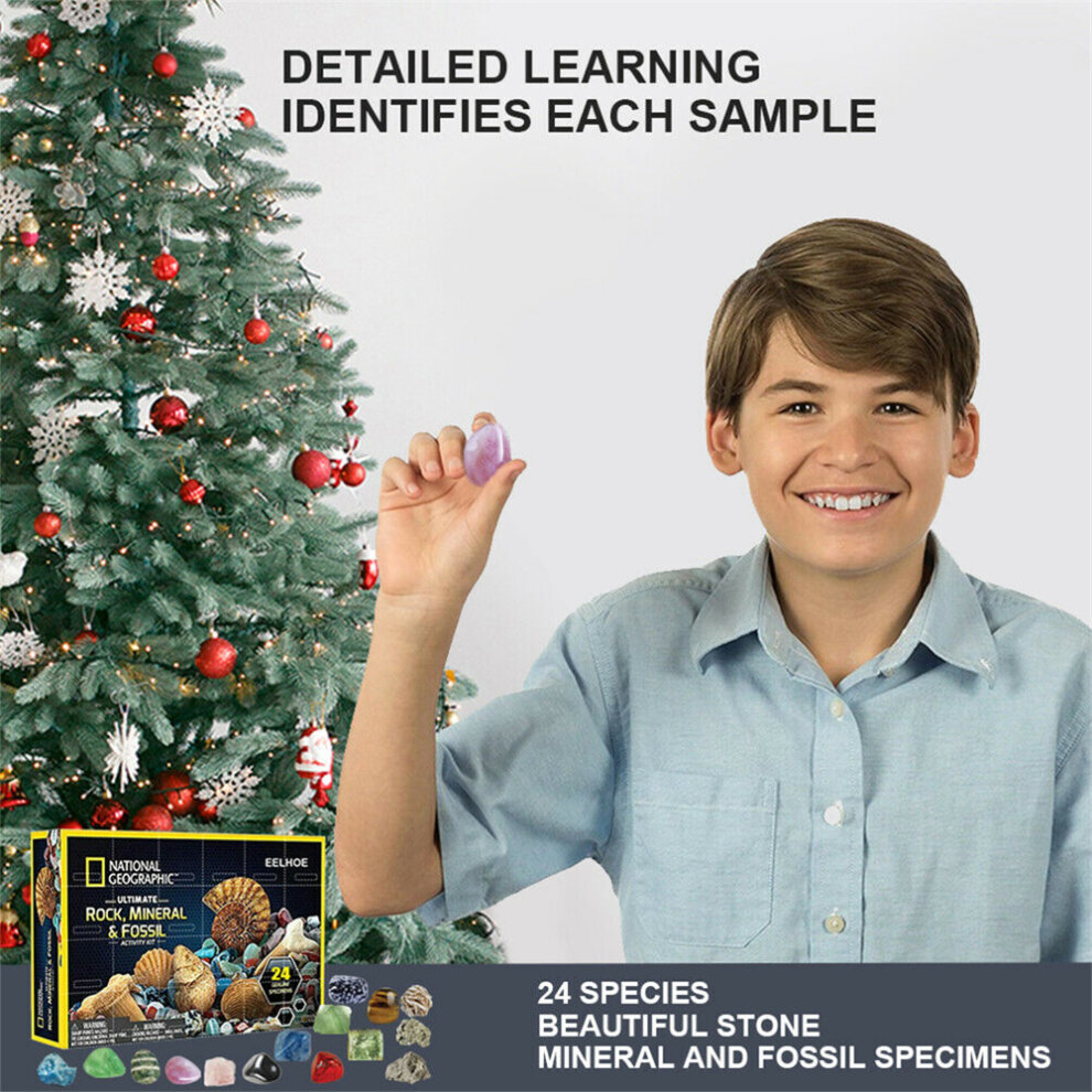 Advent Calendar Stone Rocks Mineral Fossil Kit 2022 Christmas 24 Days Countdown Calendar Geology Enthusiasts Collection Xmas Suprise Gift Box Treasure Ore Guessing Fun Toy Early Childhood Education Toys