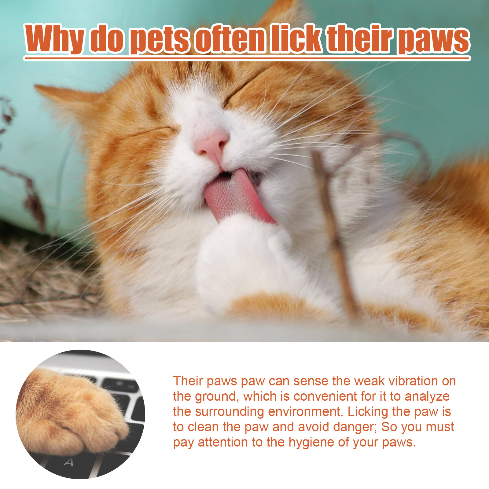 Pet Paw Balm Moisturizing Soothing Protection For Cats Dogs Cracked Paws Nose And Pads Daily Care