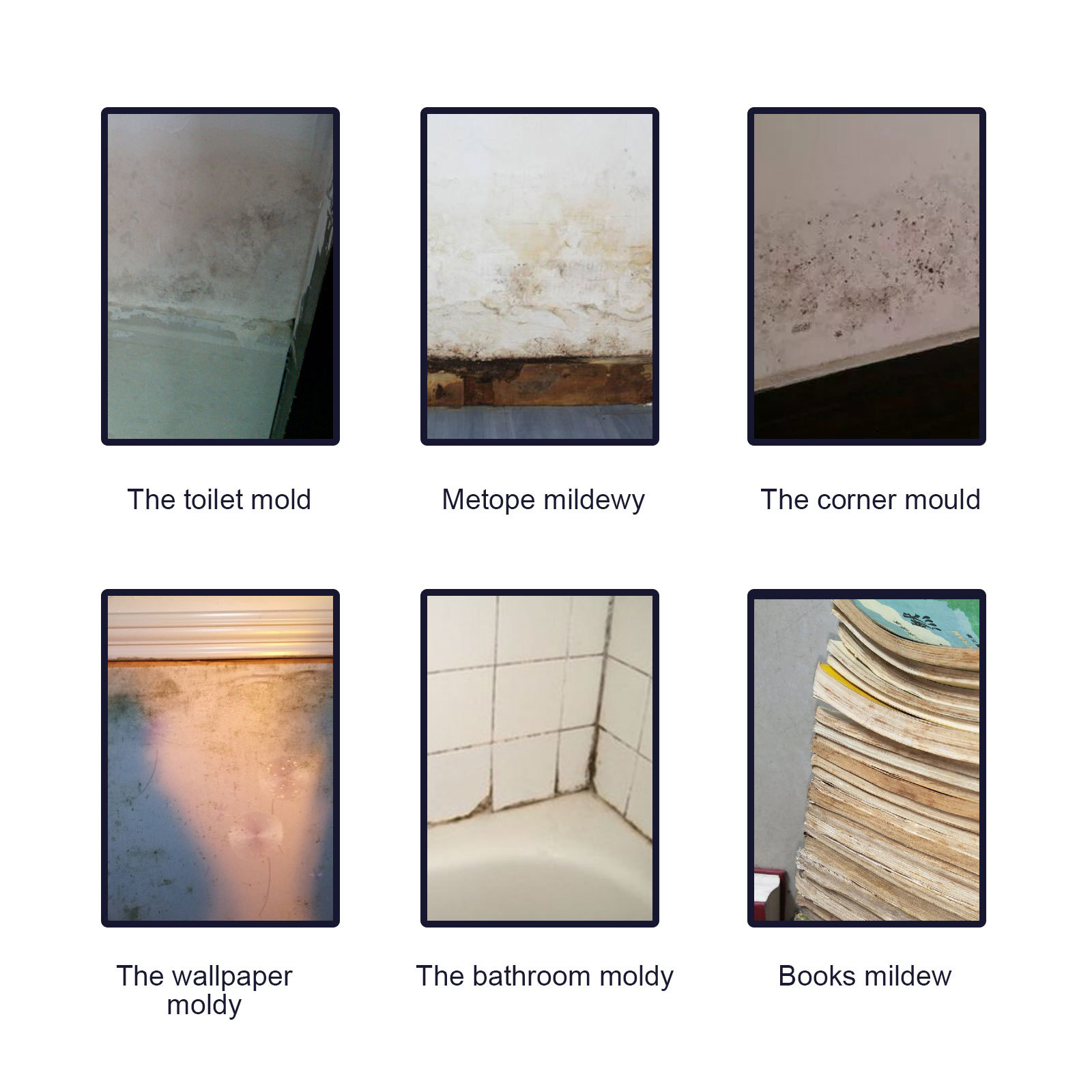 Mold Remover Spray Bathroom Ceiling Tile Wall Cleaner Fast Acting Stain Remover Anti Mildew Treatment 60ml