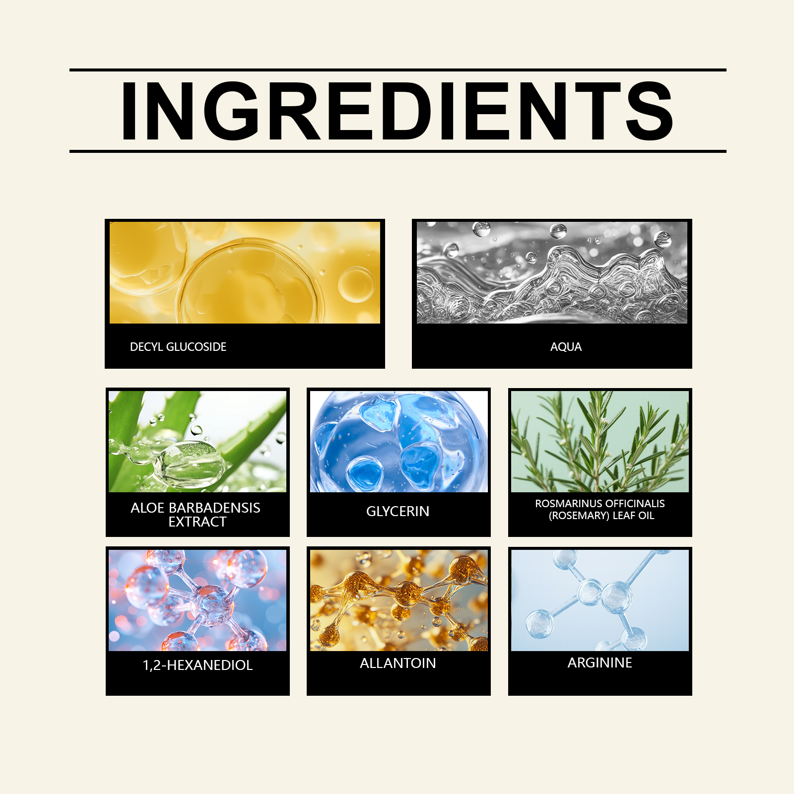 Rosemary Shampoo Mild Clean Scalp Nourish Plump Hair Daily Soft Care For Normal Hair Scalp