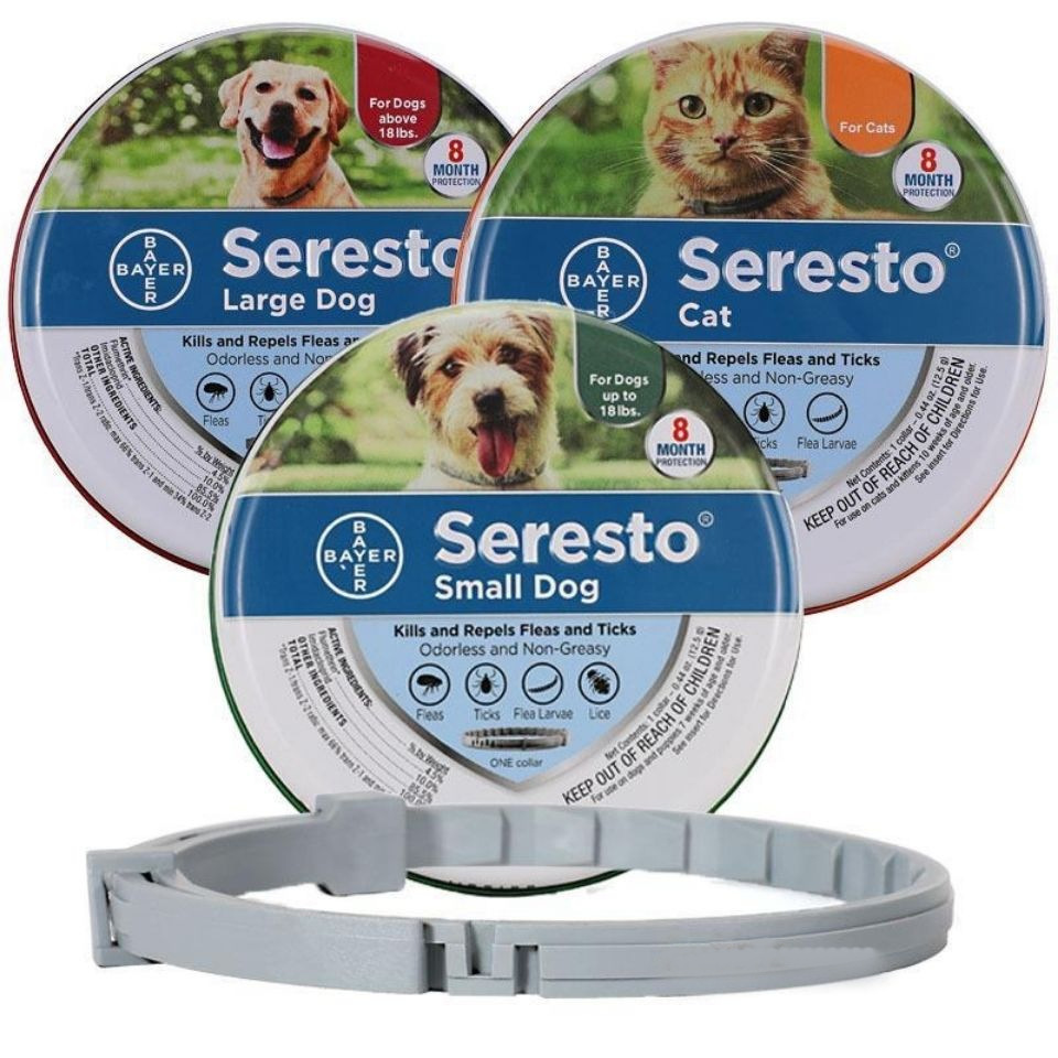 (For Cat 38cm) Adjustable Pet Anti Flea Tick Neck Collar for Large Small Dogs Cats Protection