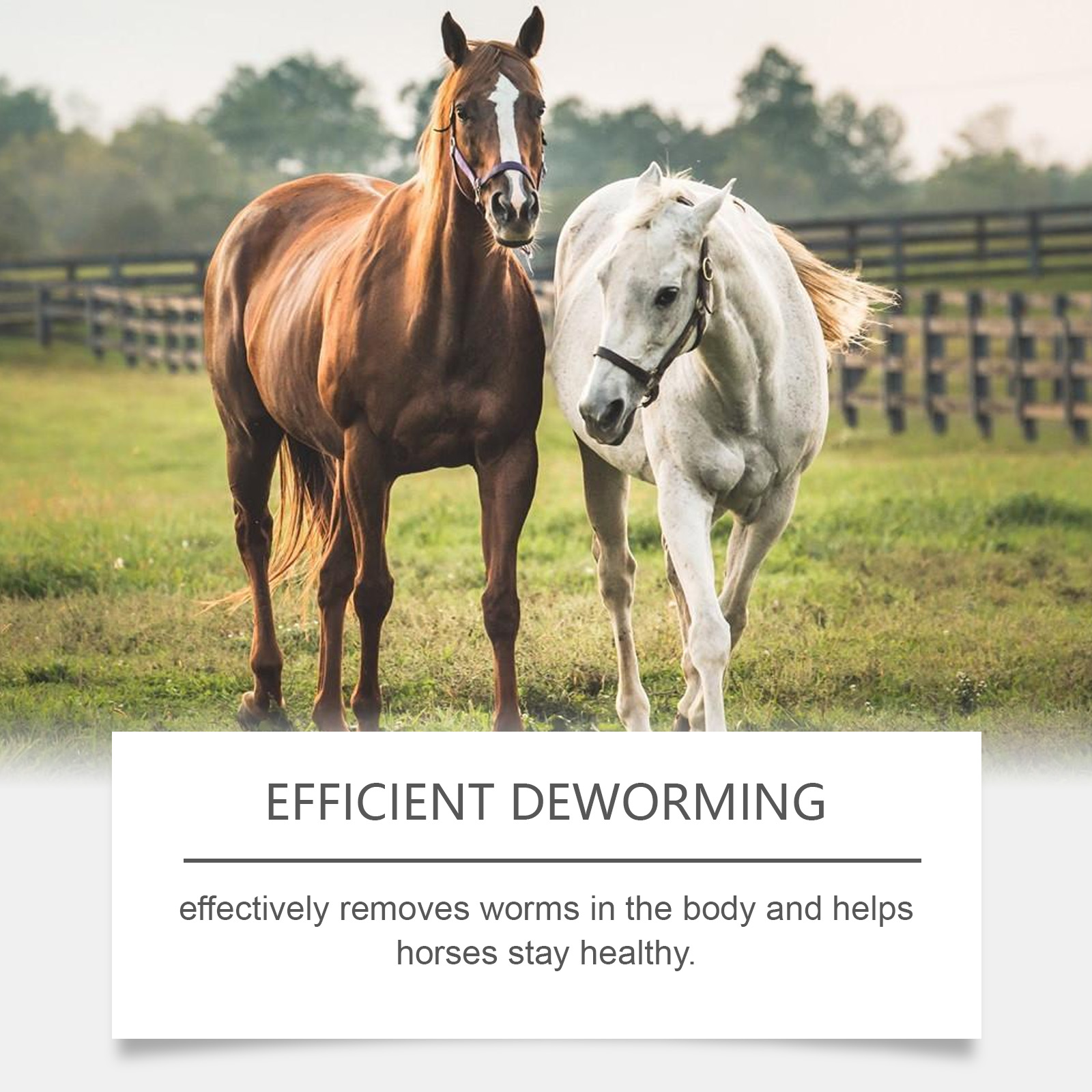 Apple Flavor Horse Ointment Mild Ingredients Plant Extract Non Irritating Portable Pack For Horse Deworming