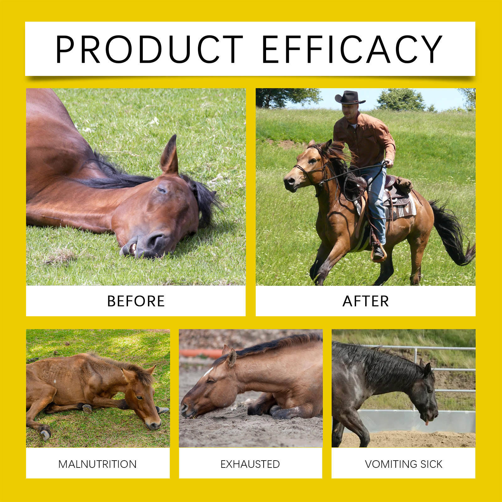 Apple Flavor Horse Ointment Mild Ingredients Plant Extract Non Irritating Portable Pack For Horse Deworming
