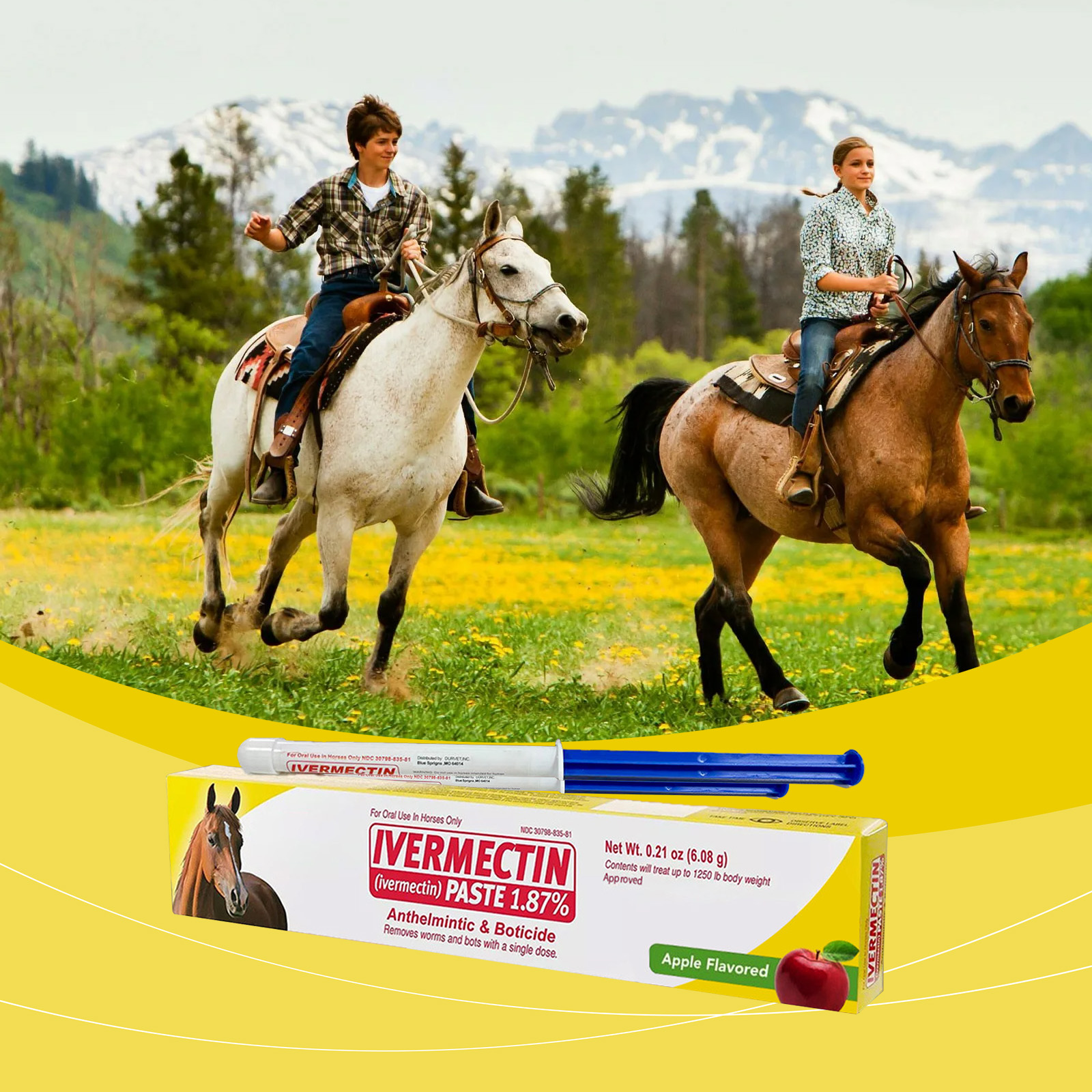 Apple Flavor Horse Ointment Mild Ingredients Plant Extract Non Irritating Portable Pack For Horse Deworming