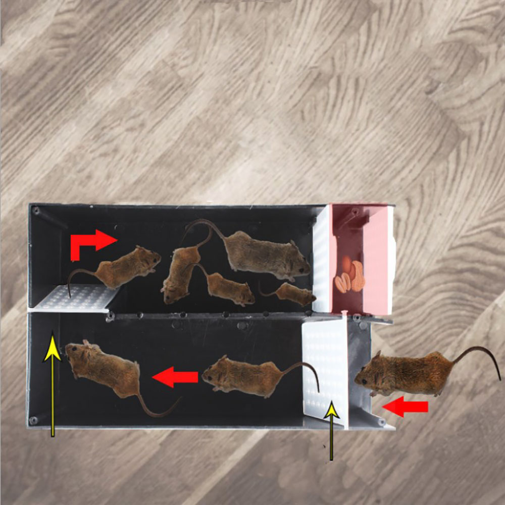 Humane Mouse Trap  29 cm Enlarged Smart Mouse and Rodent Trap- No Kill The Mice - Pets & Children Friendly- Like a Real Mouse Home Continuity Catching Mouse Traps