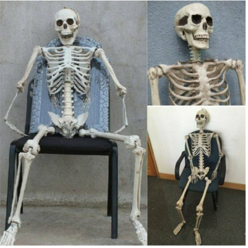 Human Skeleton Prop Halloween Party Decoration