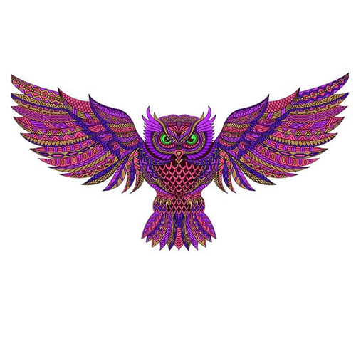 Green Eyed Owl Jigsaw Puzzles Animal Perfect For Home Decor and Gift