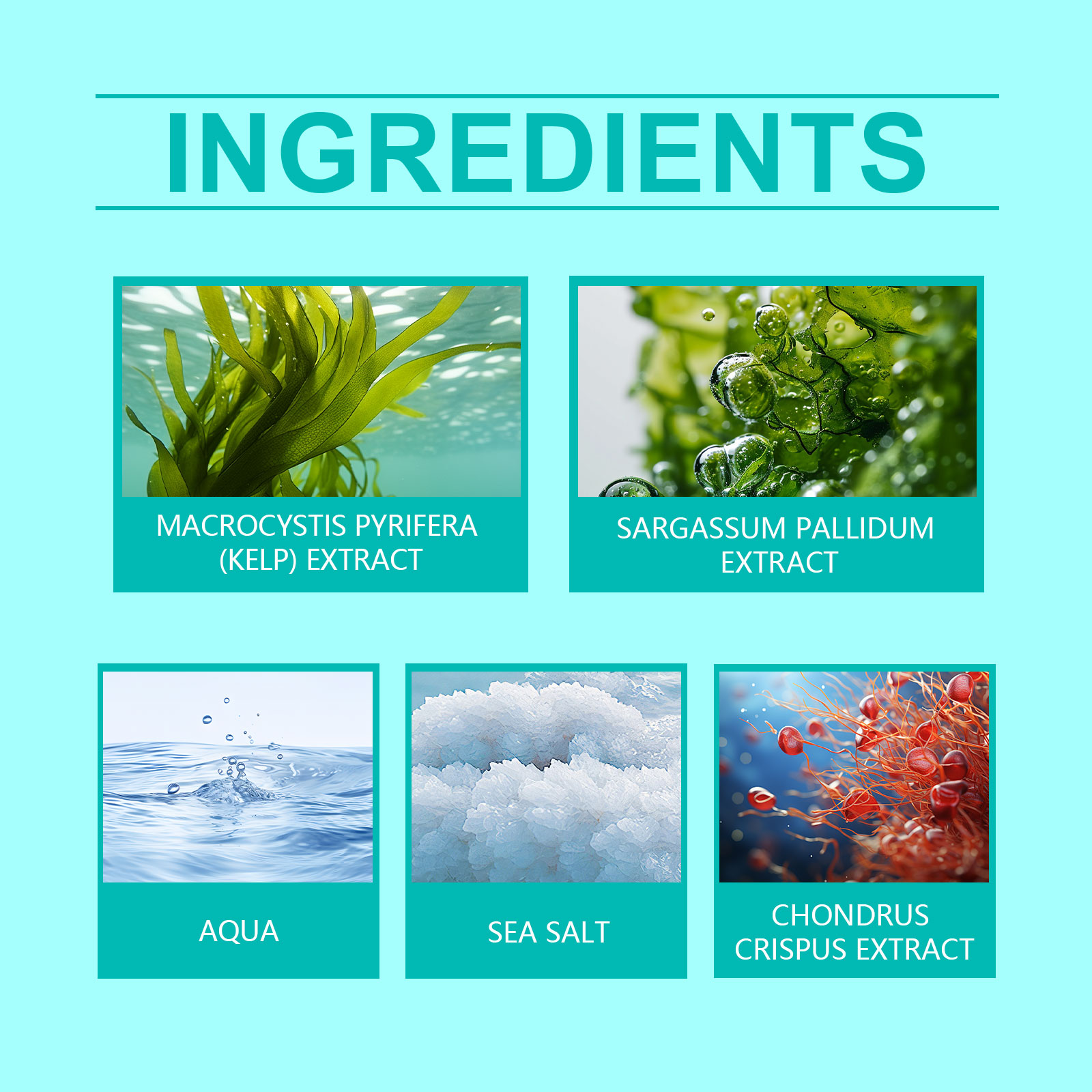 Sea Salt Hair Styling Spray Improving Thickening Strong Holding Non Greasy Fluffy Volumizing Reducing Sticky Hair Nourishing Oil