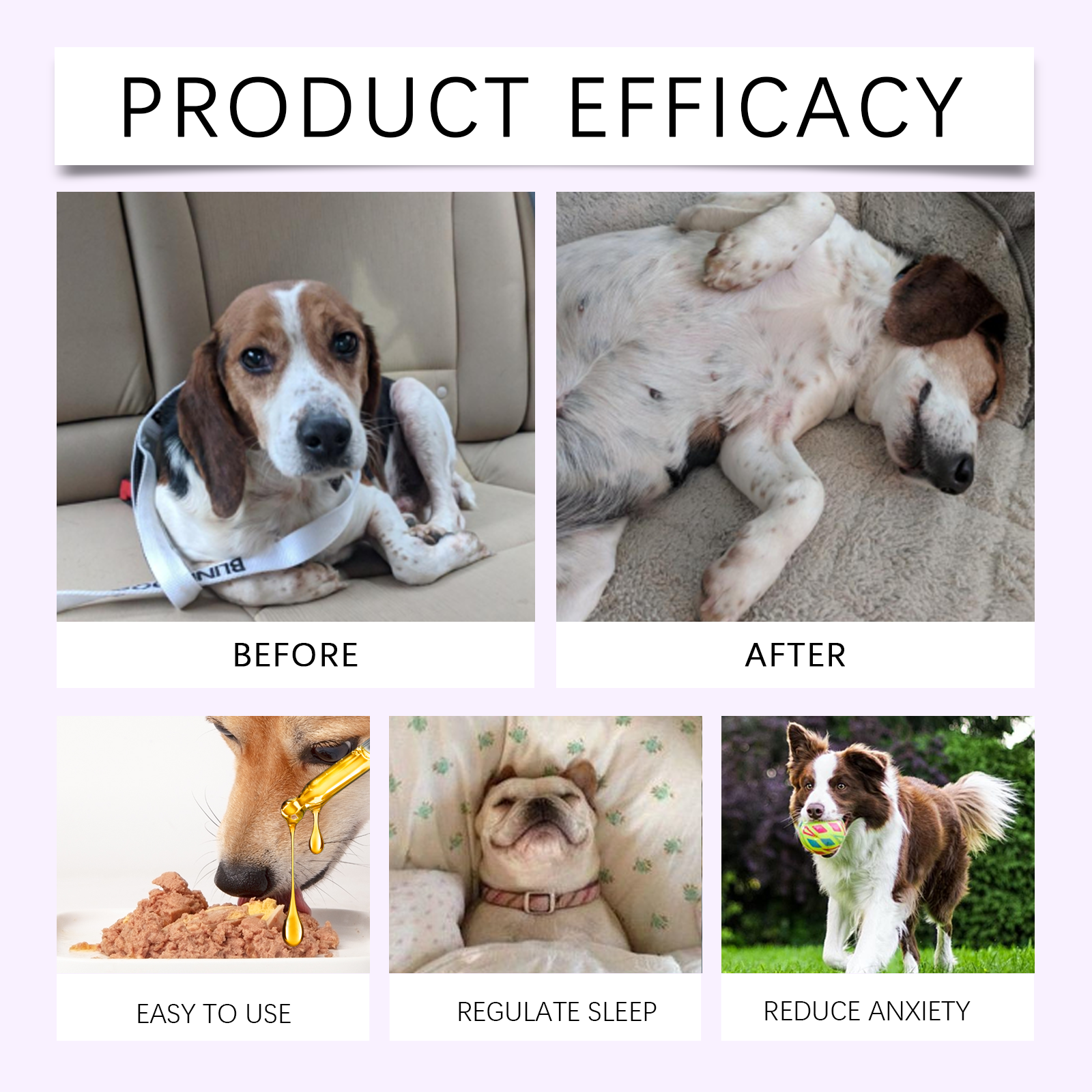 Dog Sleep Drops Care For Dog Night Sleep Pet Sleep Care Drop Supplement