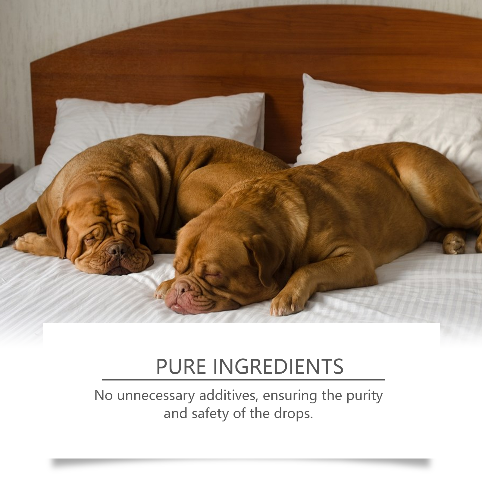 Dog Sleep Drops Care For Dog Night Sleep Pet Sleep Care Drop Supplement