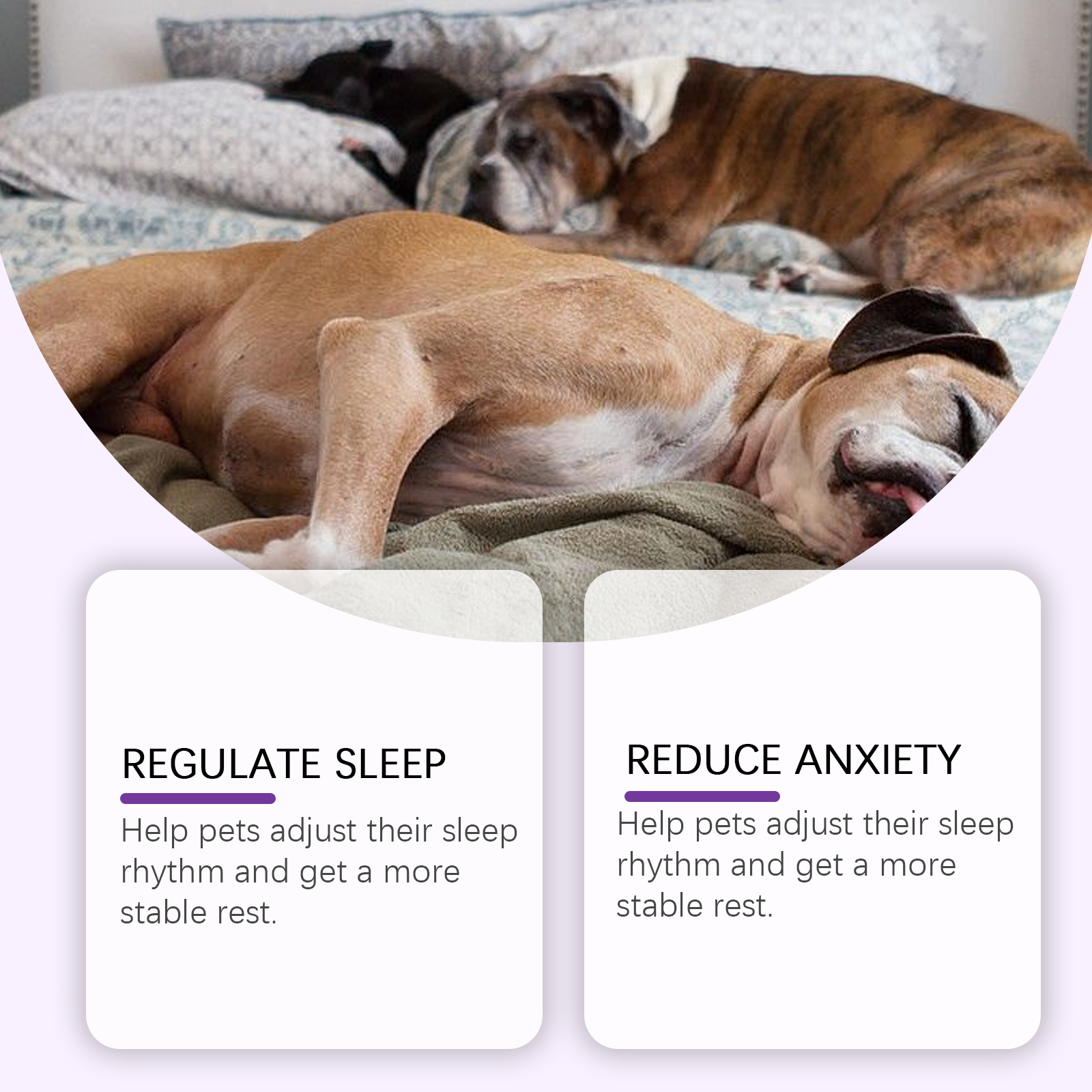 Dog Sleep Drops Care For Dog Night Sleep Pet Sleep Care Drop Supplement