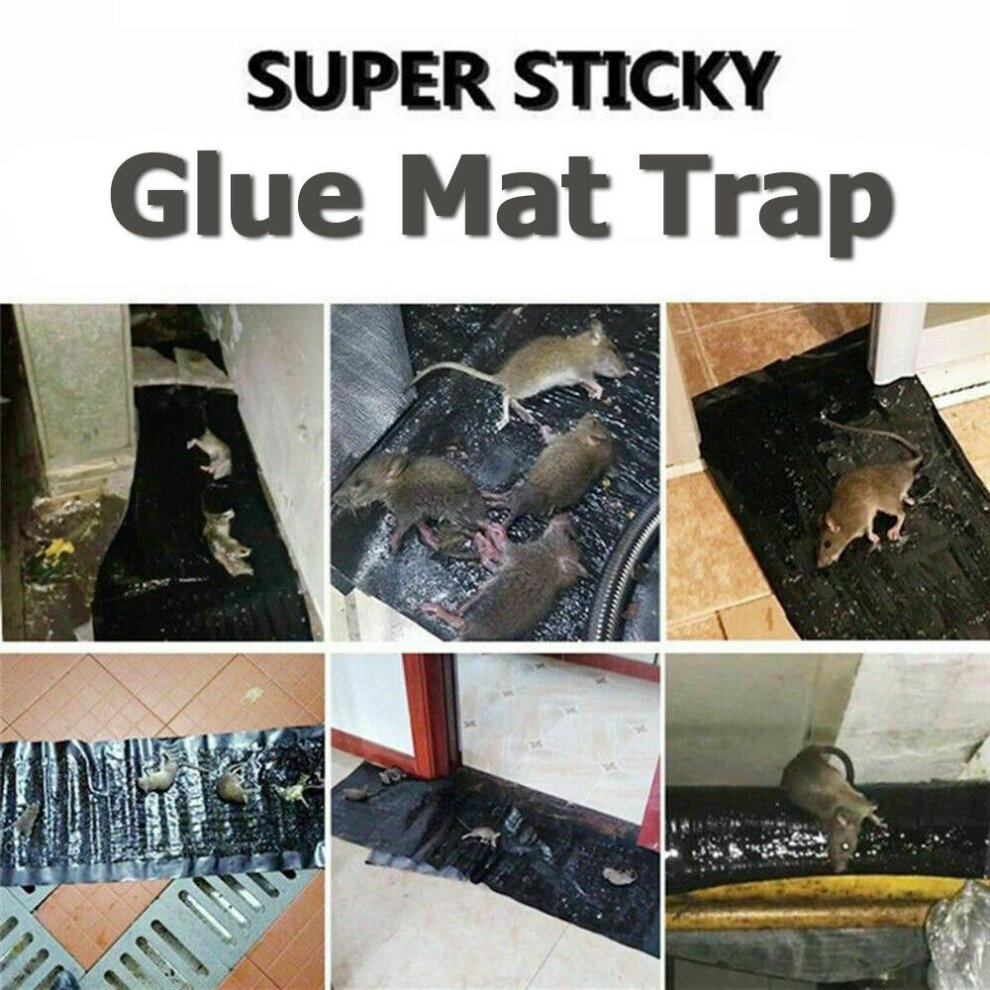 (10) 1.2M Mice Mouse Traps Board Pad Super Sticky Rat Rodent Snake Bug Safe Household