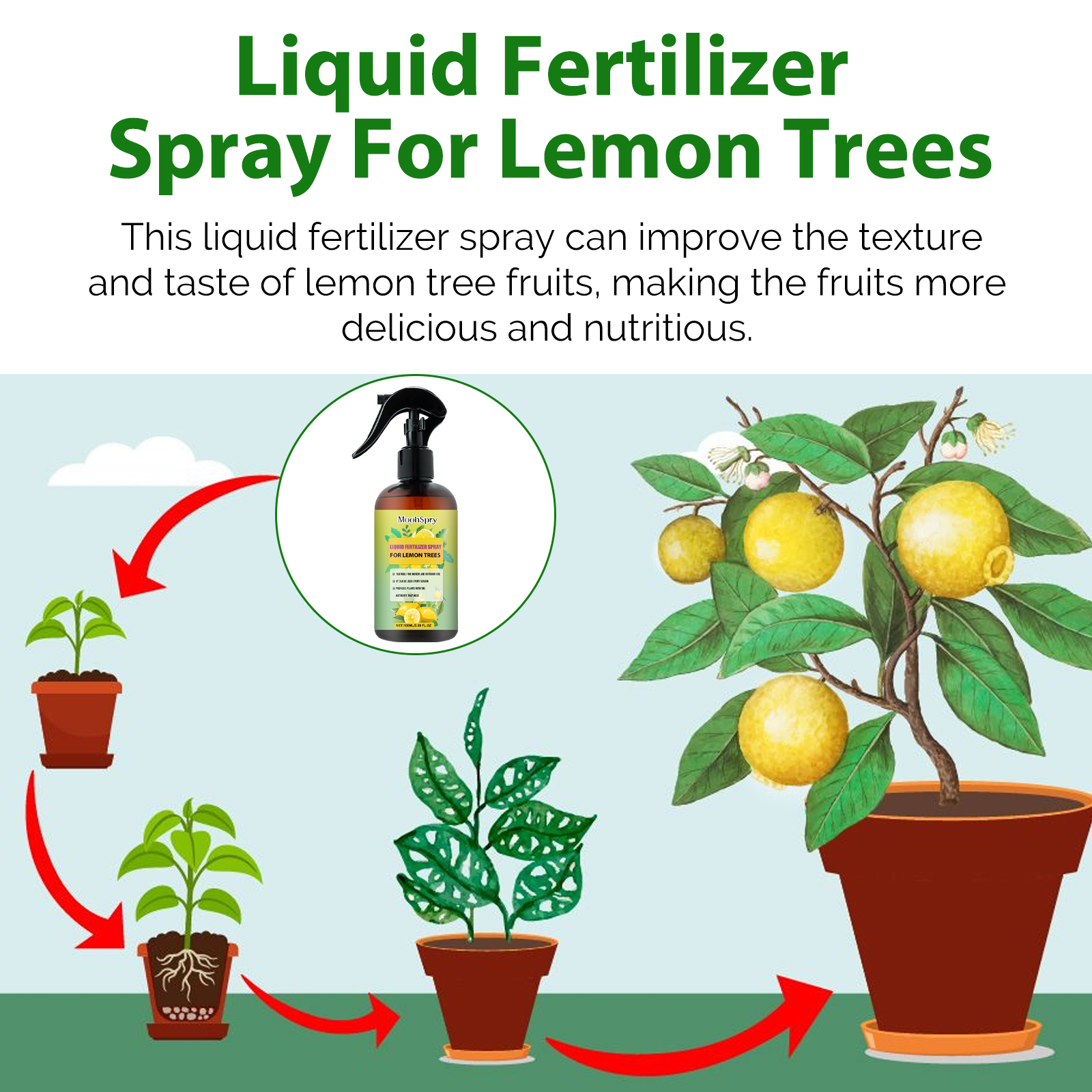 100ml Lemon Tree Fertilizer - Leaf Growth Nutrient & Root Stimulator, Plant Growth Promoter & Seedling Booster, Garden Food ﻿