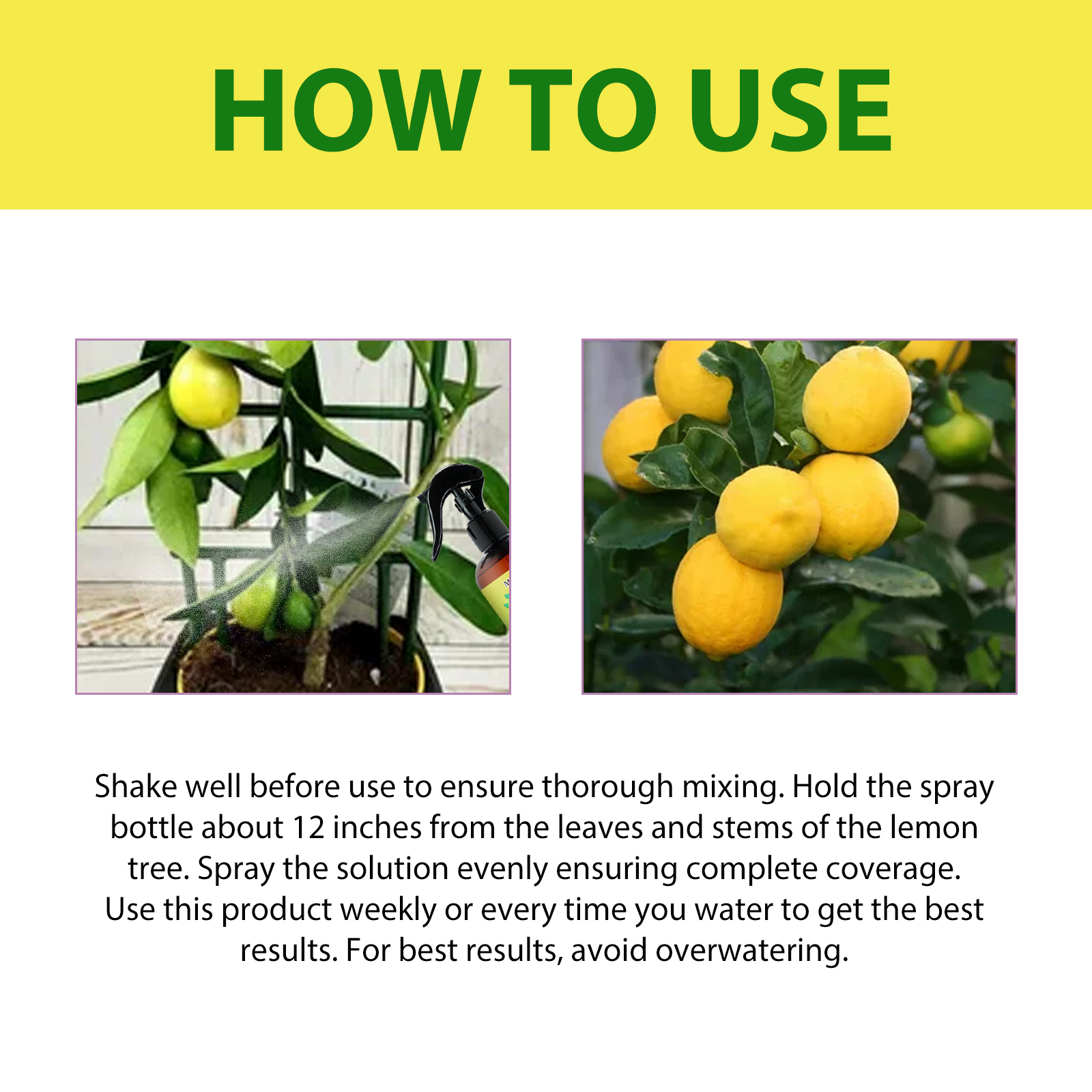 100ml Lemon Tree Fertilizer - Leaf Growth Nutrient & Root Stimulator, Plant Growth Promoter & Seedling Booster, Garden Food ﻿