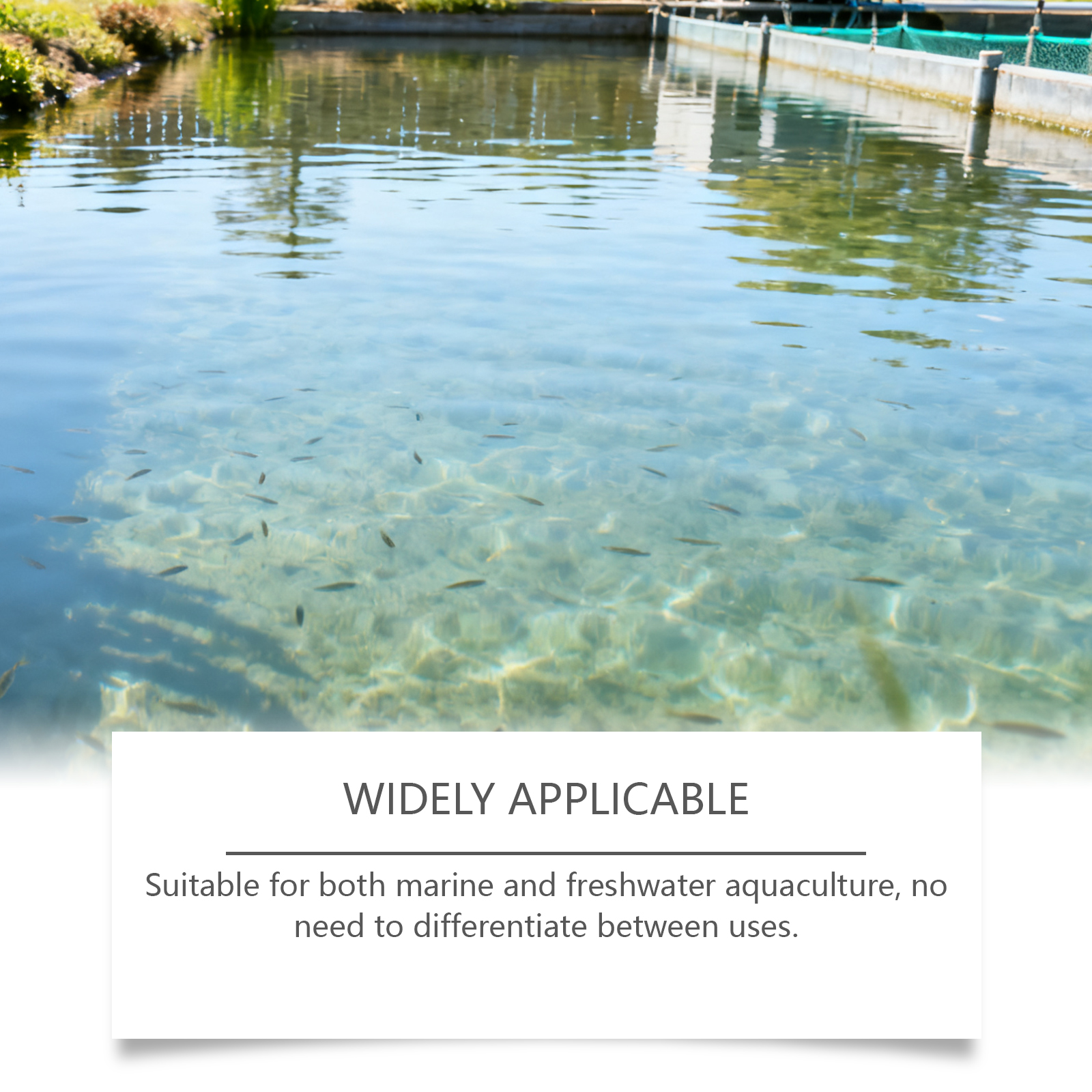 Water Clarifying Powder Fast Acting Universal Multi Species Aquaculture Supply For Fresh And Salt Water Farming