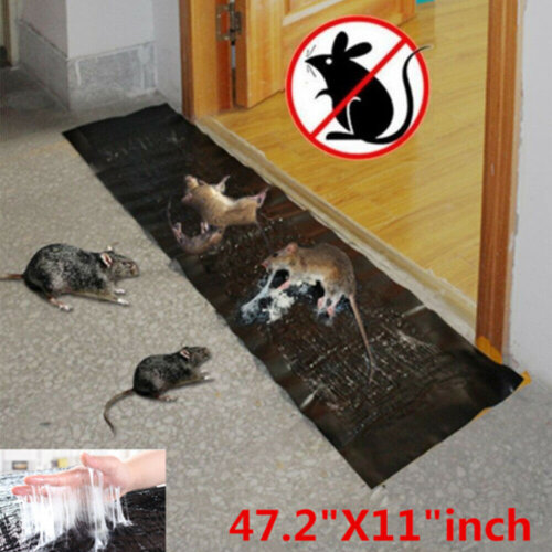 (10) 1.2M Mice Mouse Traps Board Pad Super Sticky Rat Rodent Snake Bug Safe Household