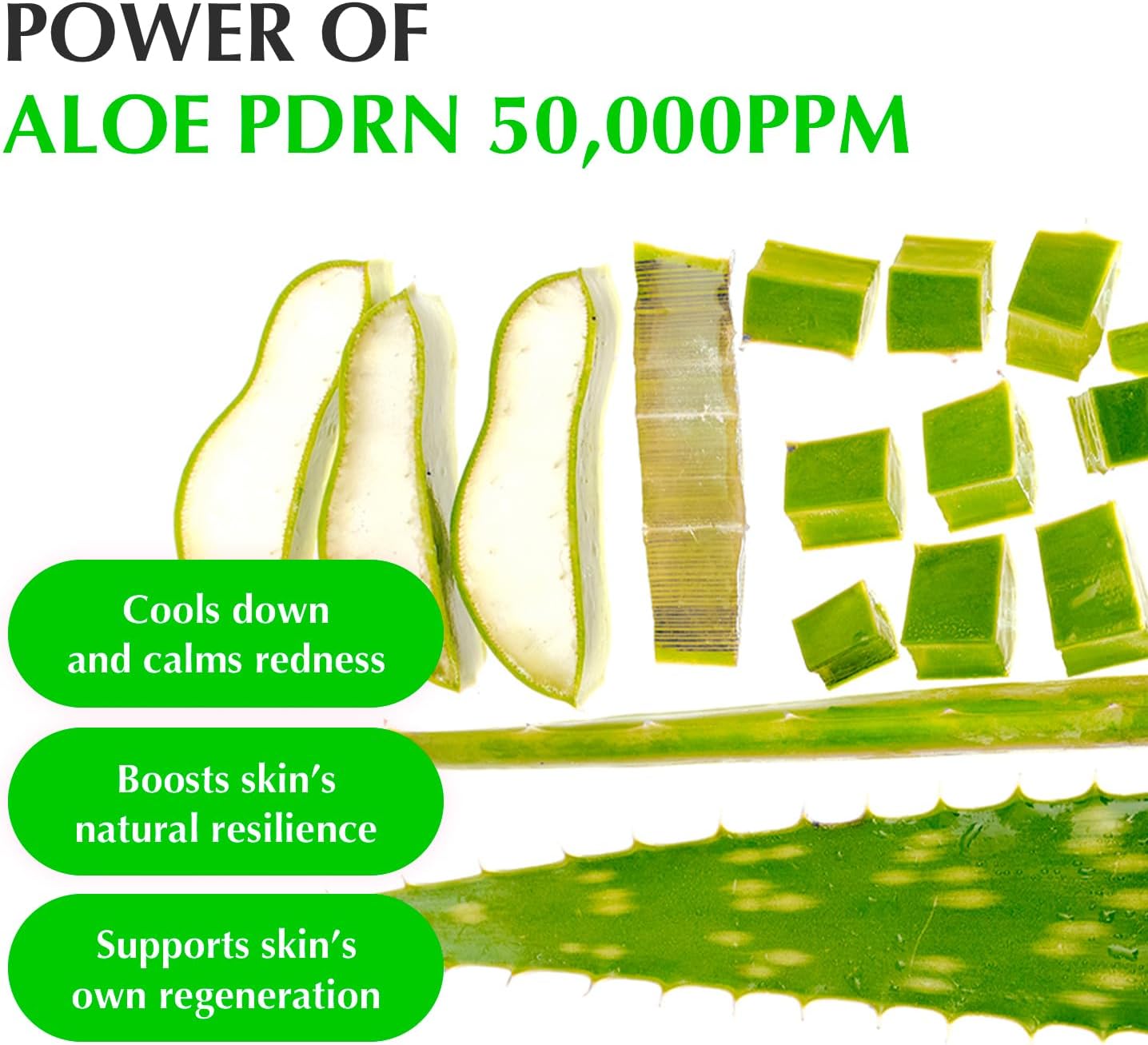 EQQUALBERRY Aloe PDRN Calming Smoothie Serum 30ml Aloe 5-CICA Soothing Serum with Ceramides Artemisia Lightweight Hydration Skin Care Comfort Support Daily