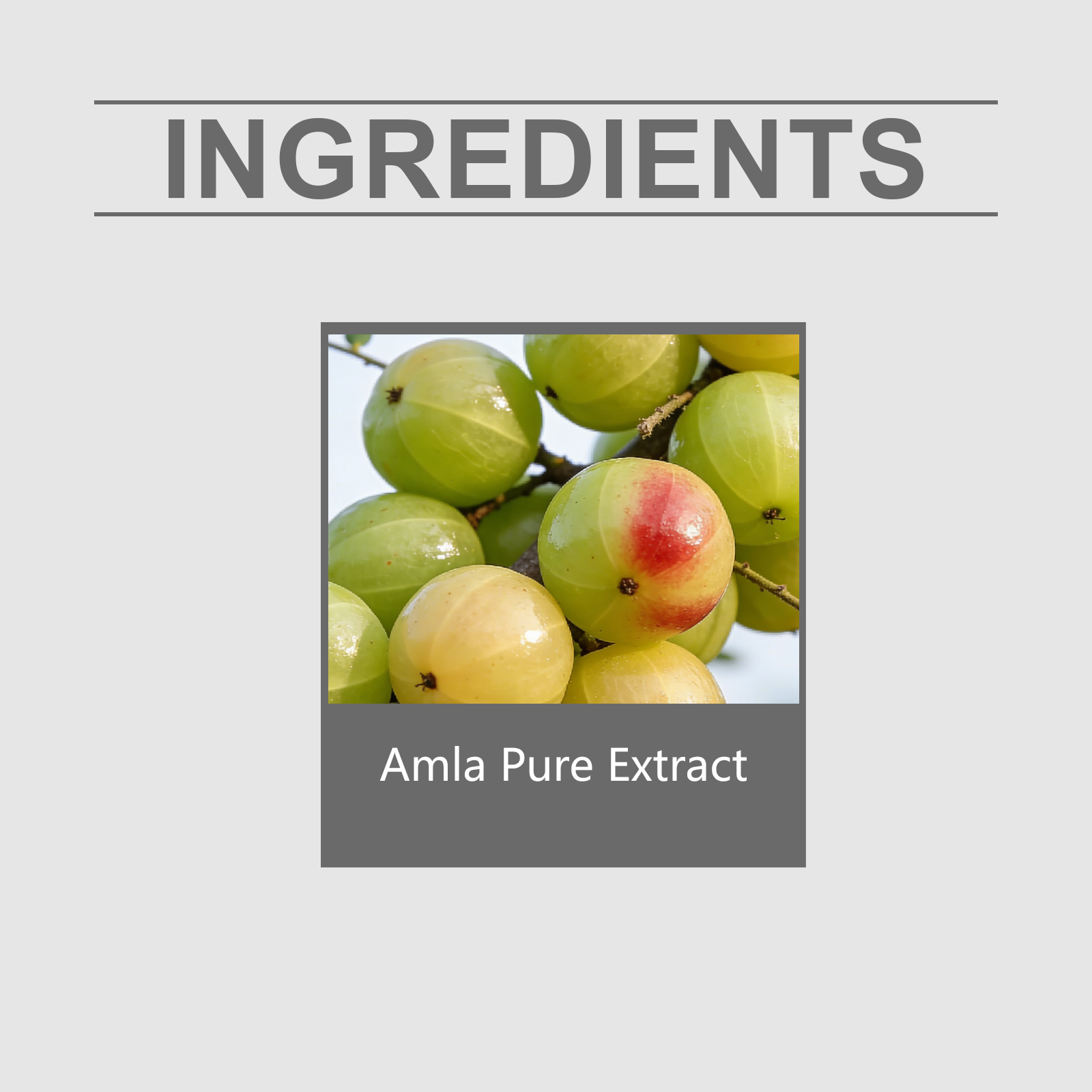 Phyllanthus Emblica Tablets Daily Nutritional Dietary Supplement Balance Formula Boost Skin Vitality Nourish Body Inside