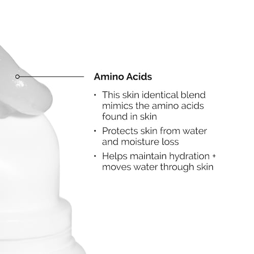 The Ordinary Squalane Amino Acids Hydrating Lip Balm 15ml