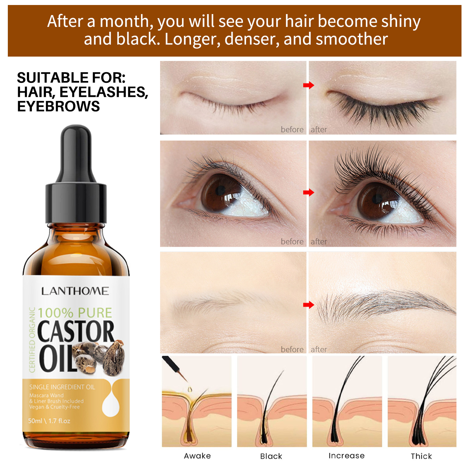 Castor Oil Eyelash Serum Set Nourishing Strengthening Lengthening For Natural Fuller Lashes And Brows Daily Beauty Treatment 50ml