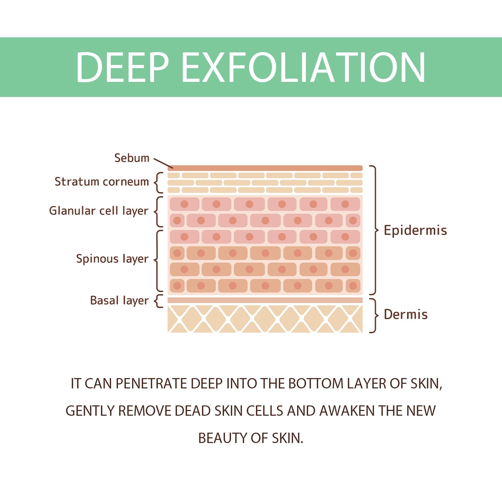 Herbal Facial Gel Gentle Cleansing Moisturizing Exfoliating For Smooth And Refreshed Skin Daily Care