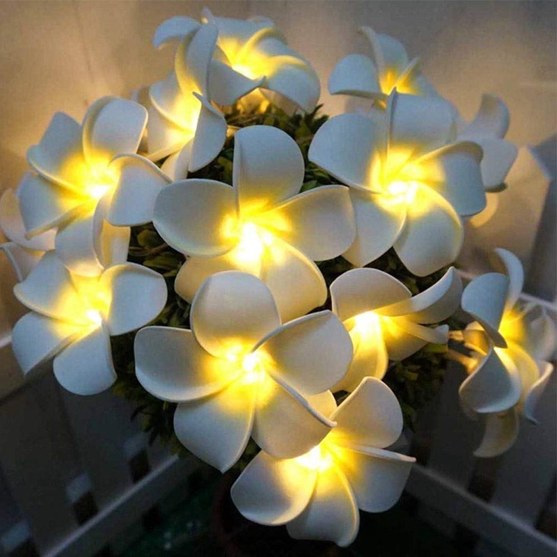 Artificial Plumeria Flower Led String Lights Battery Fairy Lights for Bedroom Home Wedding Hawaiian Luau Party Decor