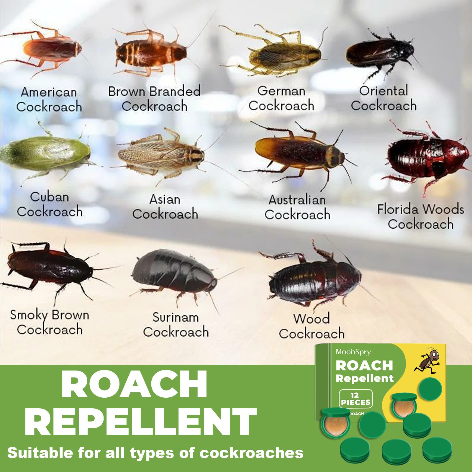 Quick Roach Bait Killer Station Natural Insect Repellent Strong Cleaning Lasting Effect Easy to Use Cockroach Repellent Sticker ﻿