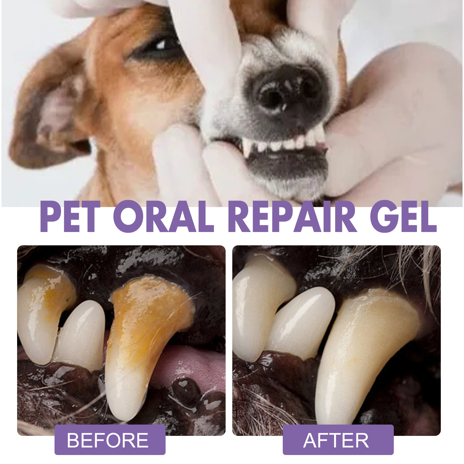 Pet Oral Repair Gel 2 PCS Deep Cleaning For Dogs Cats Teeth Stains Breath Freshening Dental Care