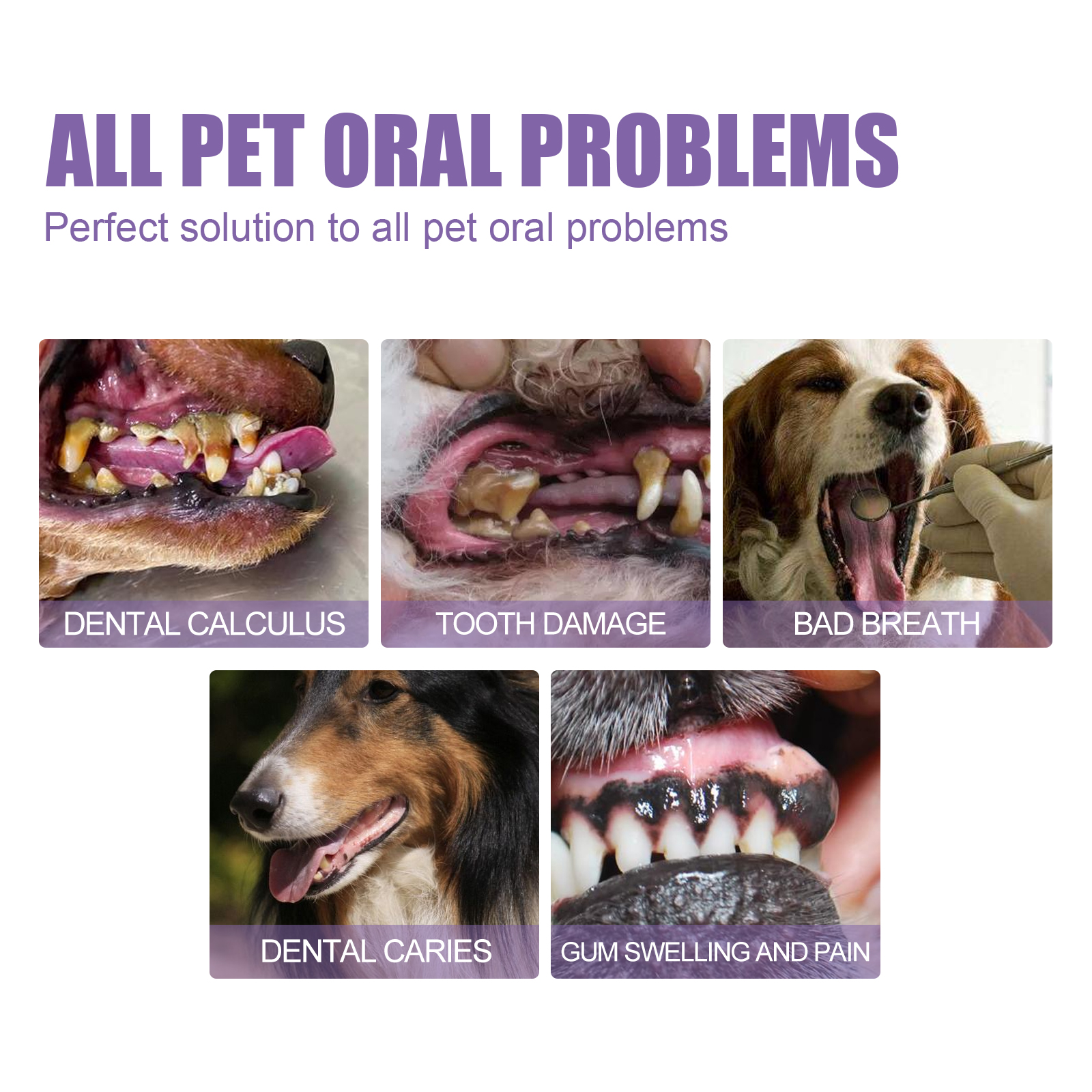 Pet Oral Repair Gel 2 PCS Deep Cleaning For Dogs Cats Teeth Stains Breath Freshening Dental Care