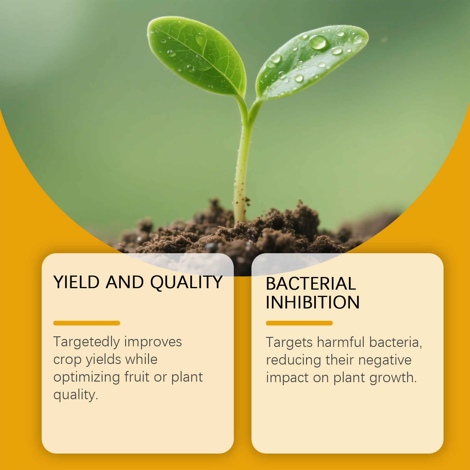Plant Protection Spray Effectively Improves Plant Yield Inhibiting Harmful Bacteria Improves Soil Quality Plant Fertilizer Spray ﻿