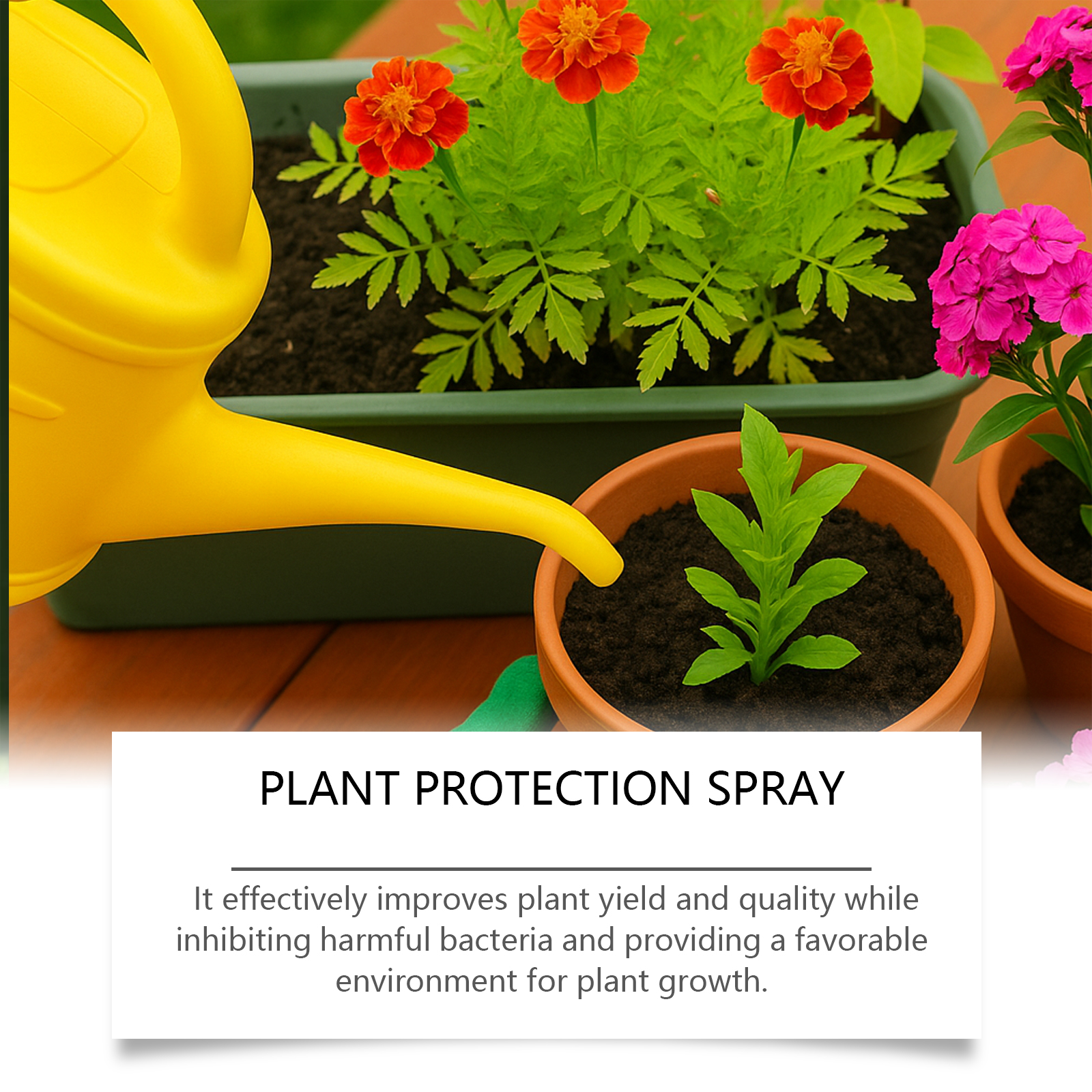 Plant Protection Spray Effectively Improves Plant Yield Inhibiting Harmful Bacteria Improves Soil Quality Plant Fertilizer Spray ﻿