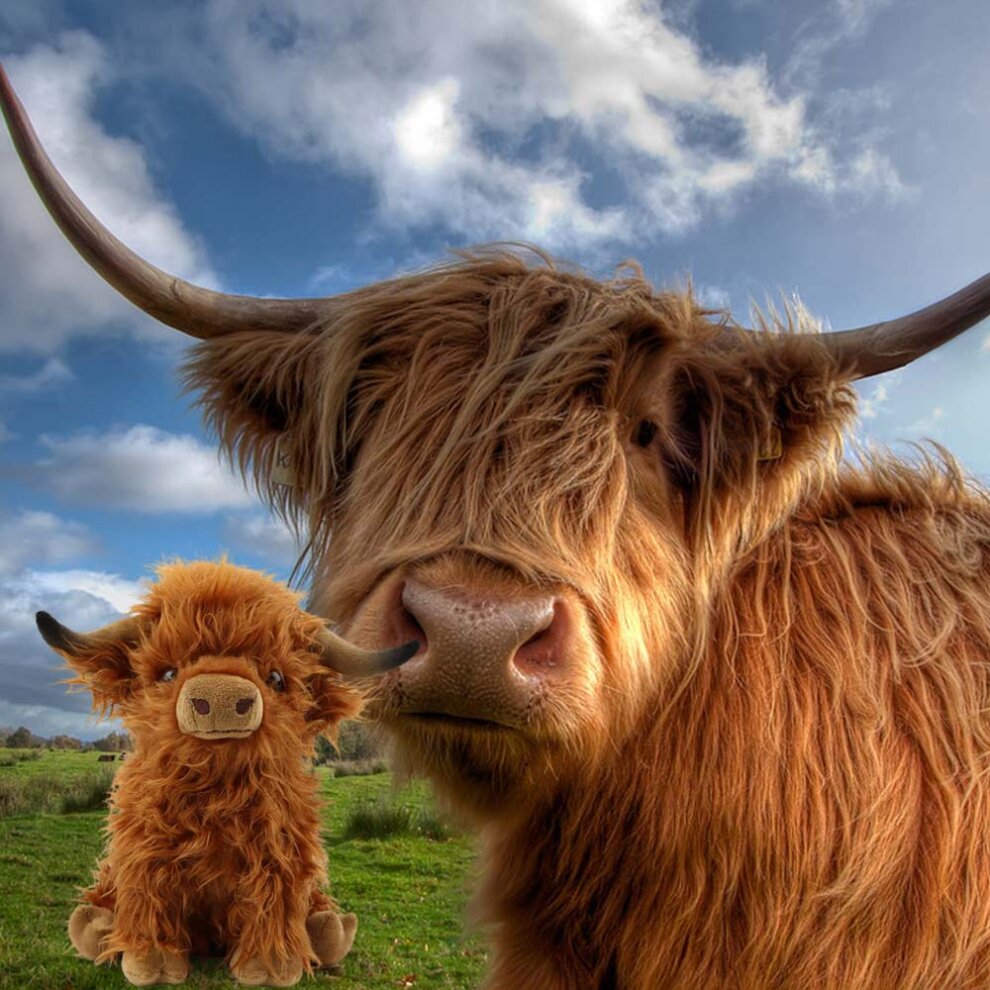 Highland Cow Brown Plush Toy Plush Cute Cuddly Toys Kids Soft Toy Gift for Kids