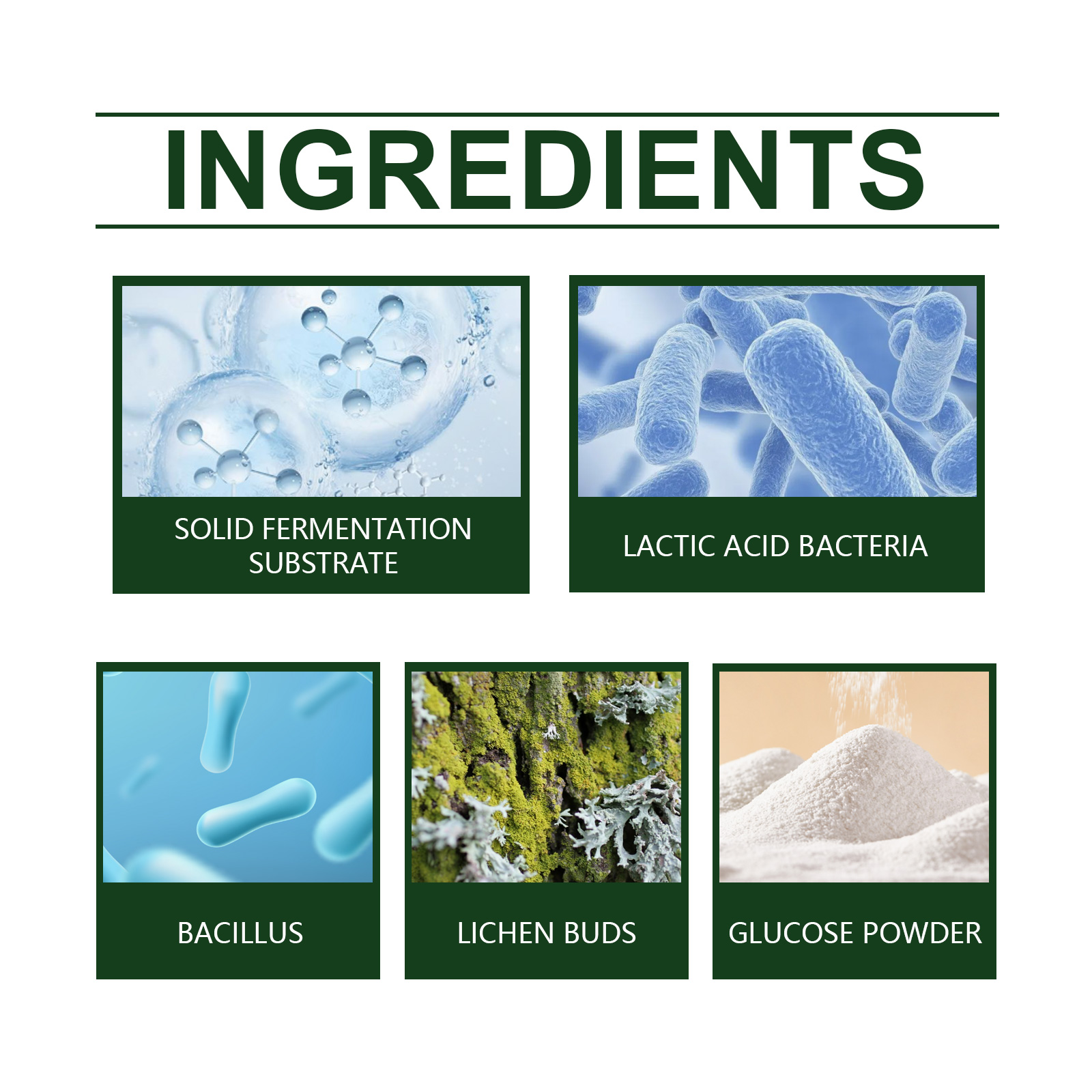 Organic Vegetable Fruit Fertilizer Green Plant Nutrient Enhancer for Rooting Flowering Fruit Expansion Rooting Powder