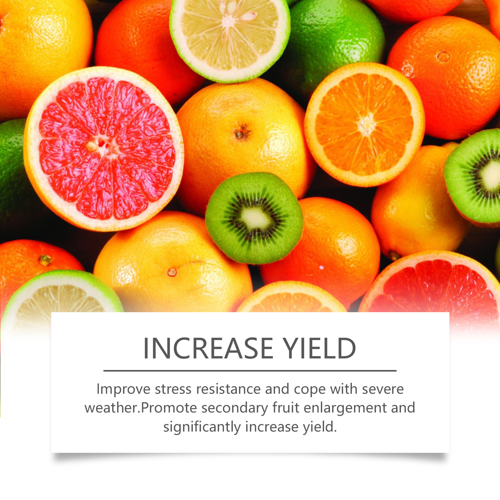 Organic Vegetable Fruit Fertilizer Green Plant Nutrient Enhancer for Rooting Flowering Fruit Expansion Rooting Powder