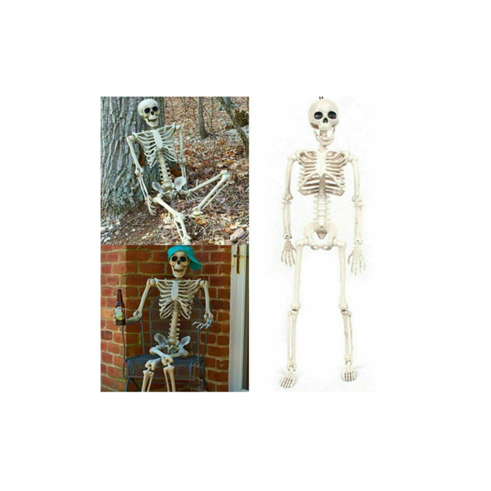 Human Skeleton Prop Halloween Party Decoration