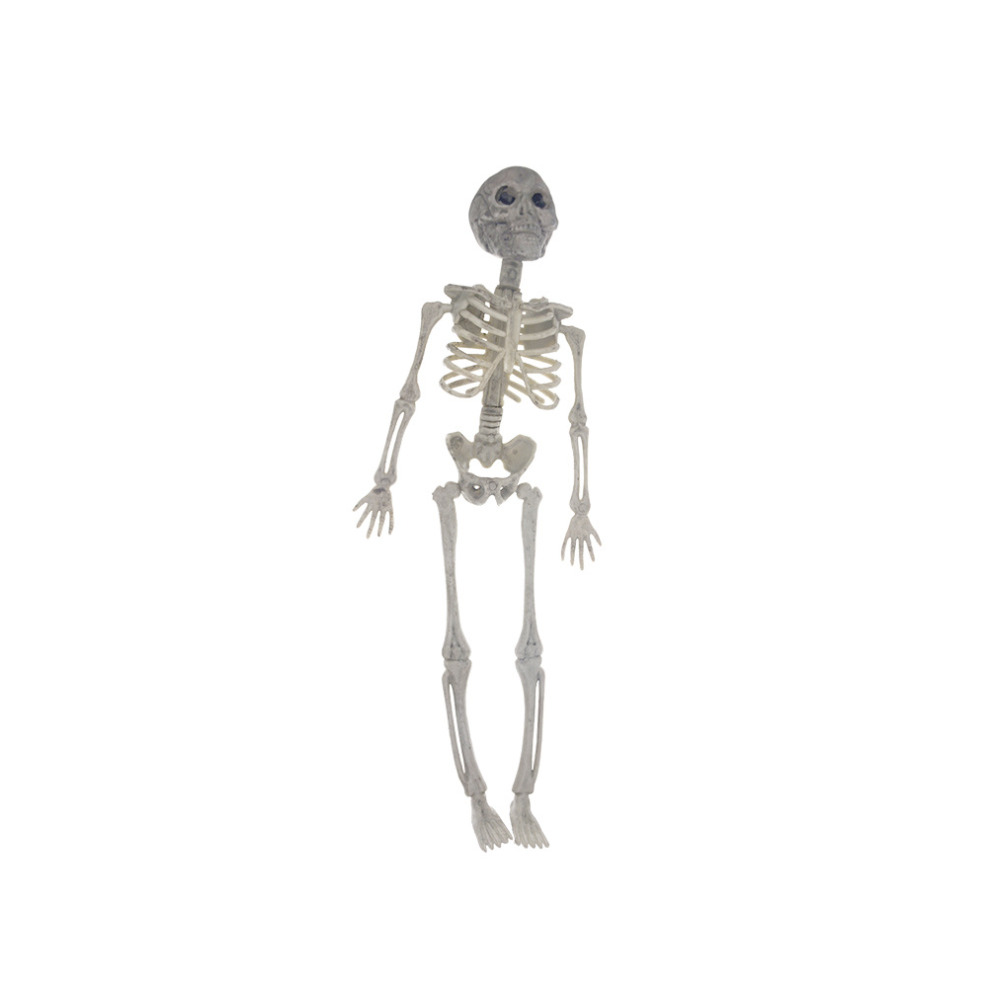 Human Skeleton Prop Halloween Party Decoration