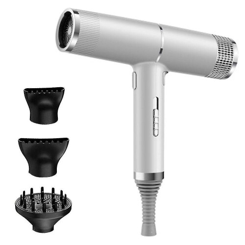 Hair Dryer Professional Fast Drying Negative Ionic Blow Dryer Lightweight Powerful High-Speed No Heat Damage Intelligent Thermo-Control Low Noise