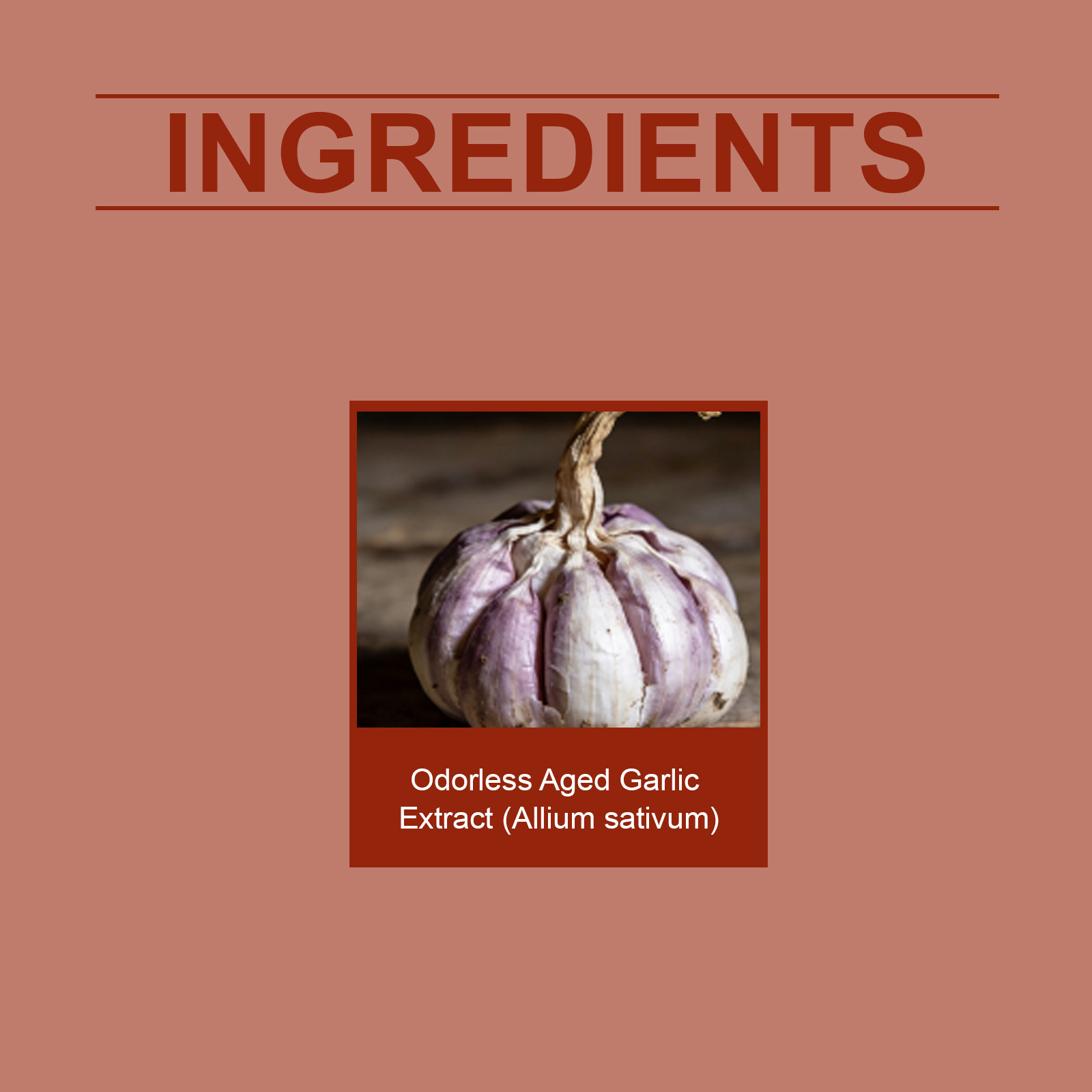 Garlic Extract Soft Capsules Mild Ingredient Nutritional Supplement Daily Life Balance Support Improve Physical Condition