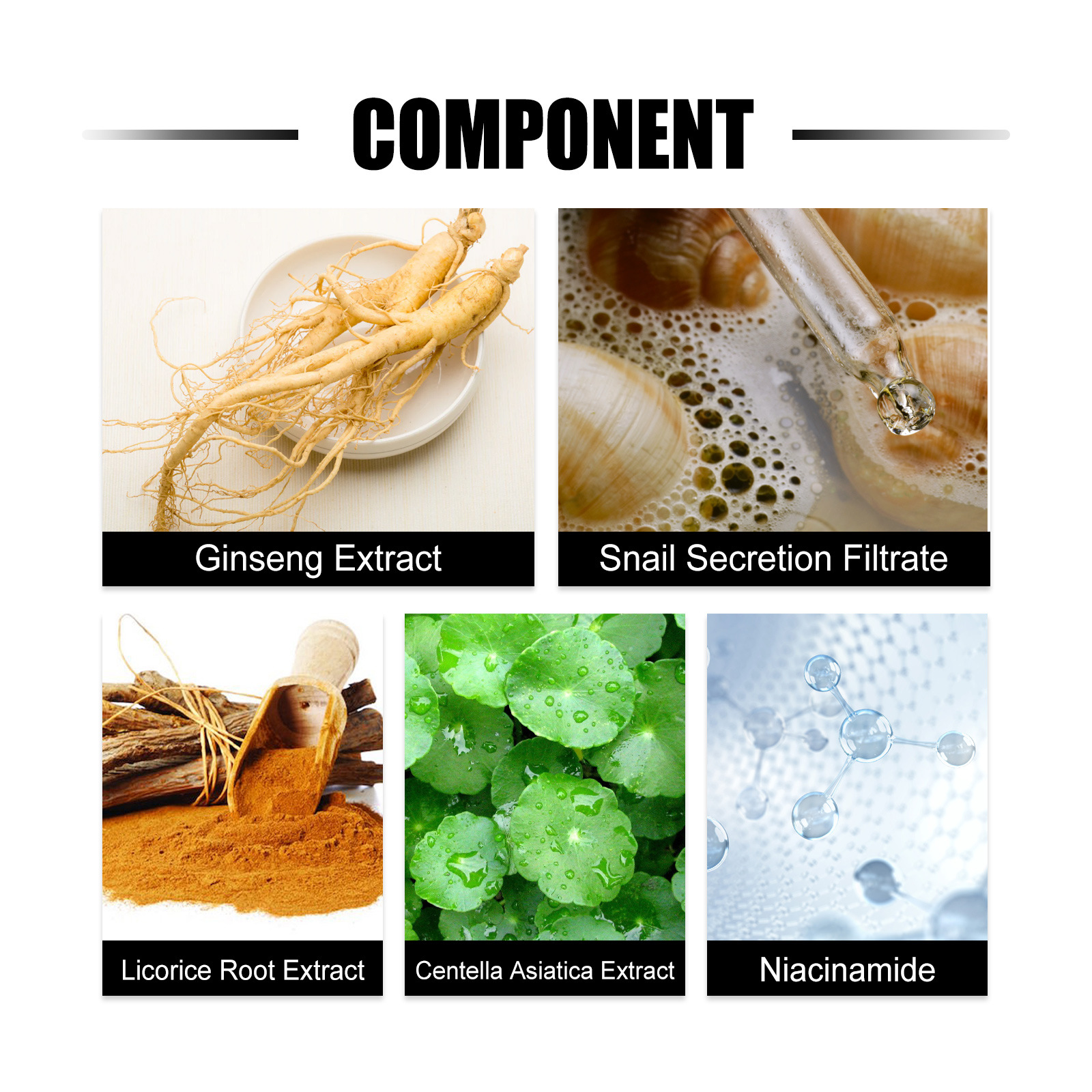 (1 PC) Ginseng Snail Serum Anti Wrinkle Anti Aging Eye Face Lifting Tightening Fade Fine Lines Moisturizing Brighten Glow Korean Beauty Skin Care Cosmetics
