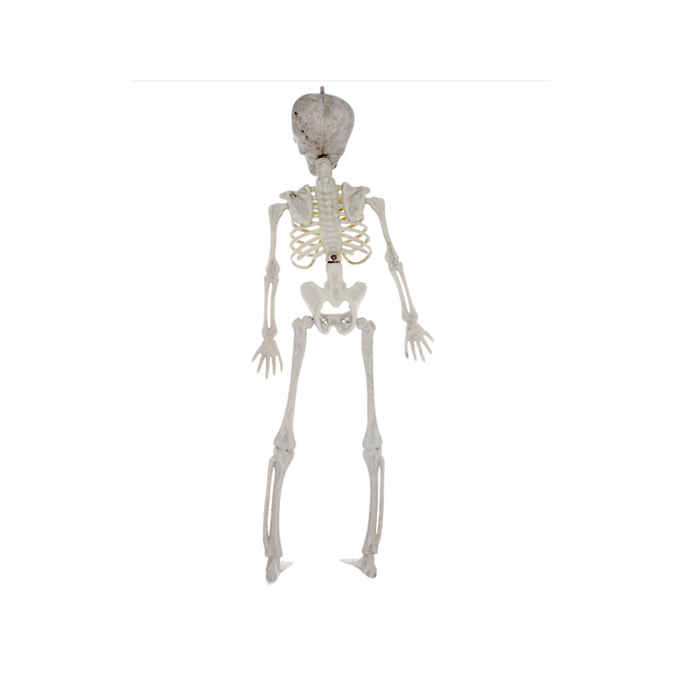 Human Skeleton Prop Halloween Party Decoration