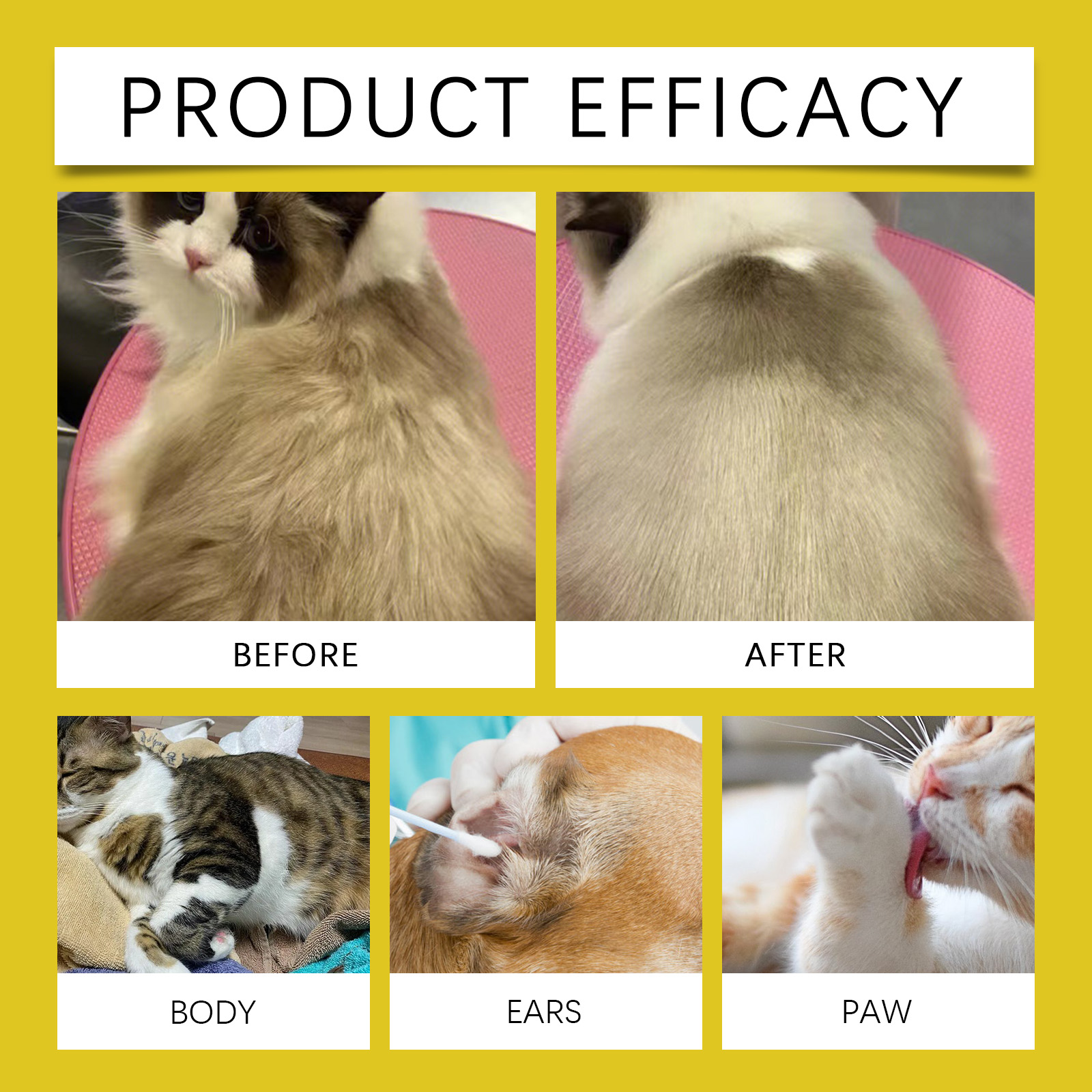 Pet Cleaning Gloves Disposable Rinse Free Convenient Daily Care For Cats And Dogs