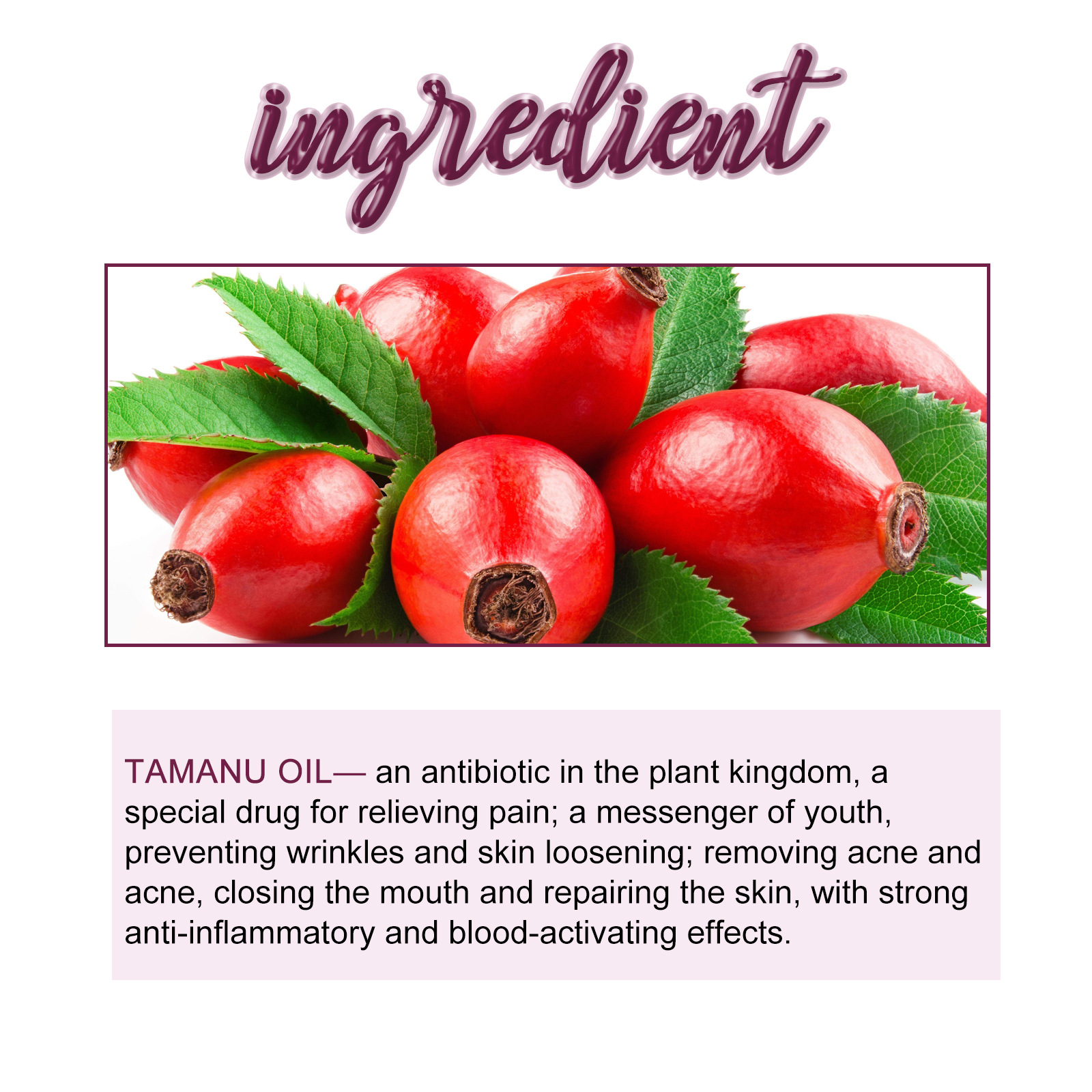 Tamanu Oil Facial Essence Hydration Essence Moisturizer Hydrating Nourishing Whitening Freckles Dark Spot Remove Anti-aging Lighten Melanin Skin Care