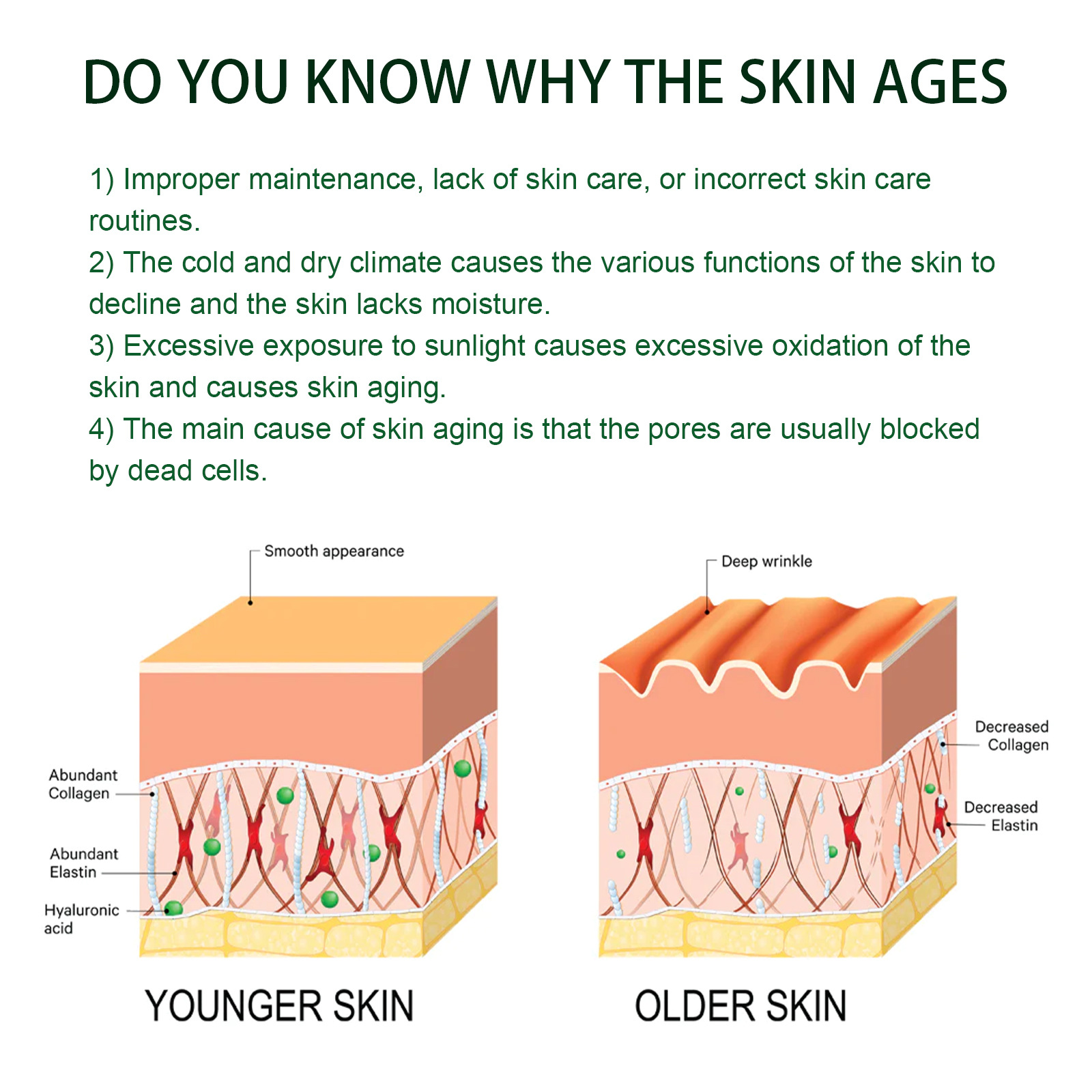 EELHOE Intensive Anti Aging Serum Collagen Booster Facial Fade Fine Line  Moisturizing Essence Anti Wrinkle Remove
