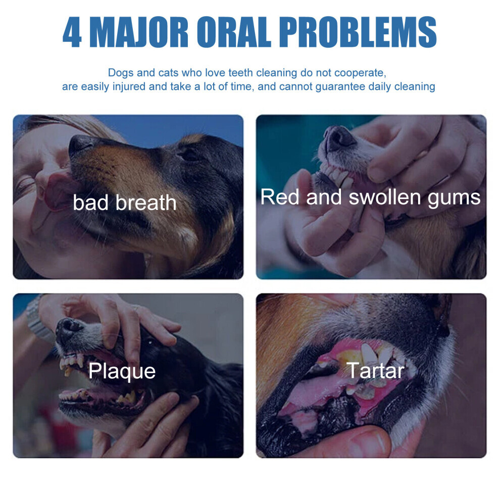 Pet Tartar Remover Remove Calculus Yellow Teeth Bad Breath Teeth Cleaning Teeth Cleaning Oral Foam Cleaning