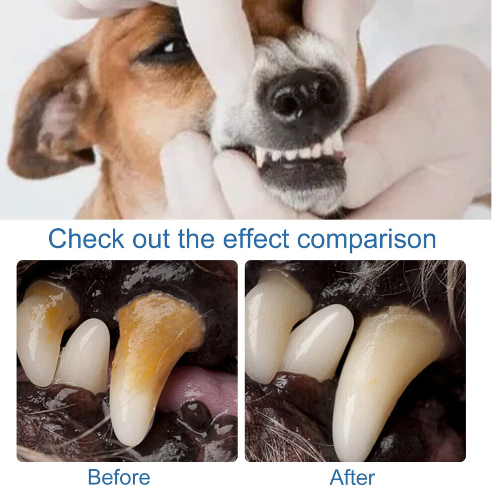Pet Tartar Remover Remove Calculus Yellow Teeth Bad Breath Teeth Cleaning Teeth Cleaning Oral Foam Cleaning