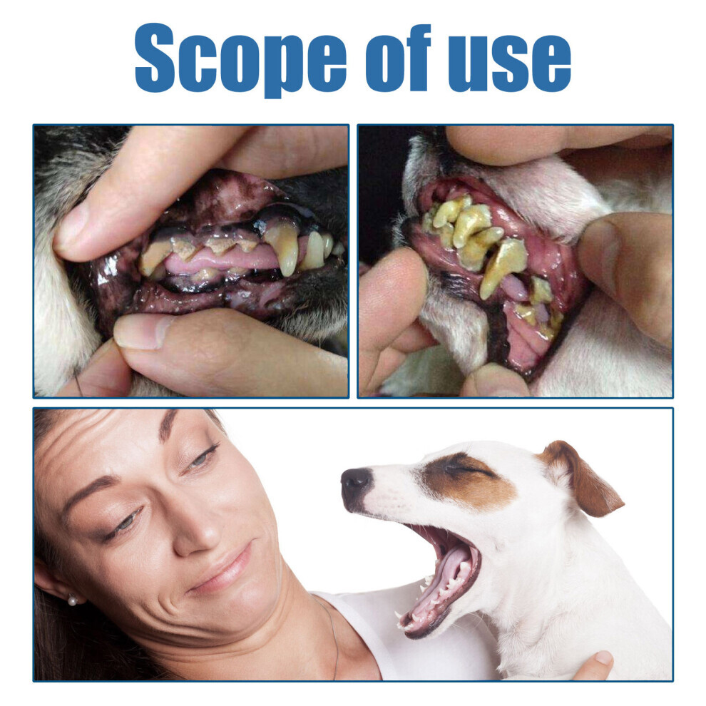 Pet Tartar Remover Remove Calculus Yellow Teeth Bad Breath Teeth Cleaning Teeth Cleaning Oral Foam Cleaning