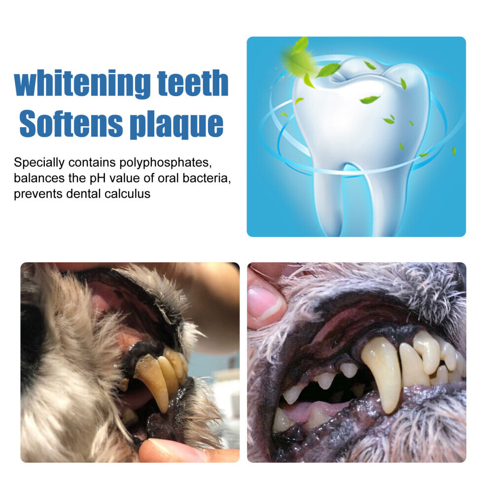 Pet Tartar Remover Remove Calculus Yellow Teeth Bad Breath Teeth Cleaning Teeth Cleaning Oral Foam Cleaning